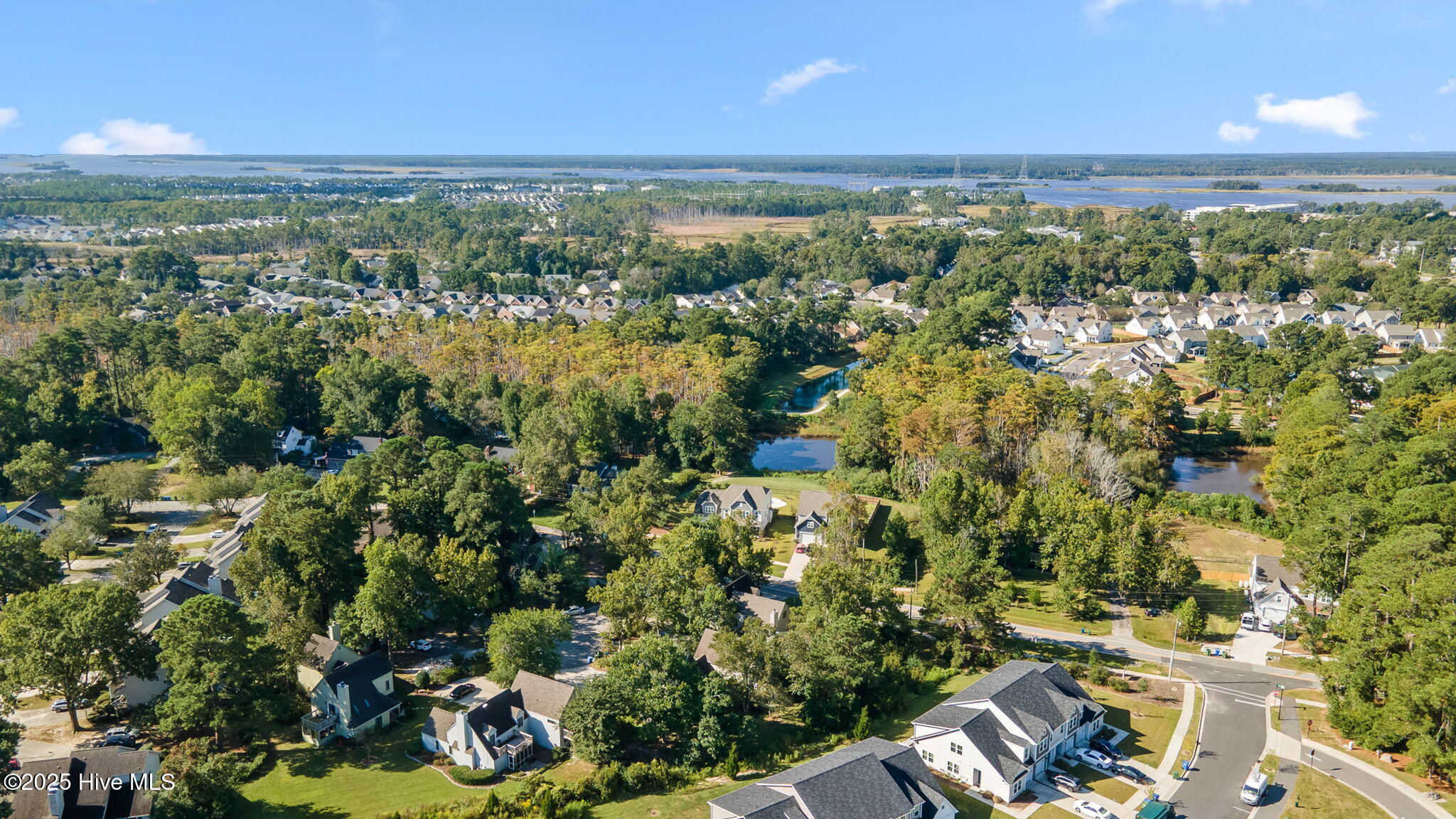 100535092 | Photo 41