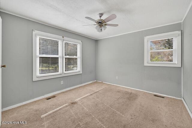 100553943 | Photo 24