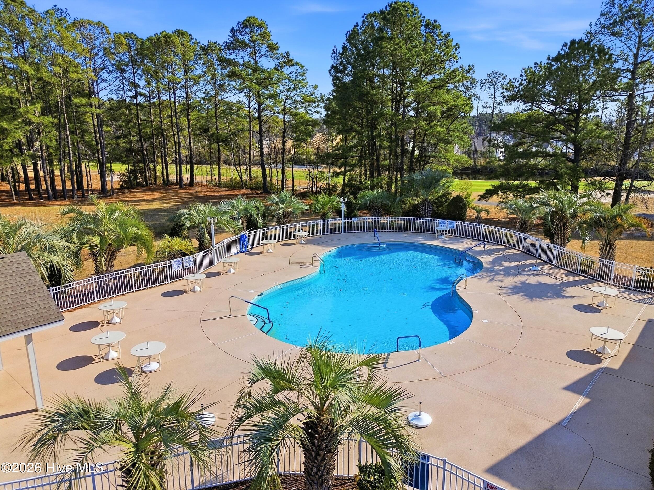 100553802 | Photo 56