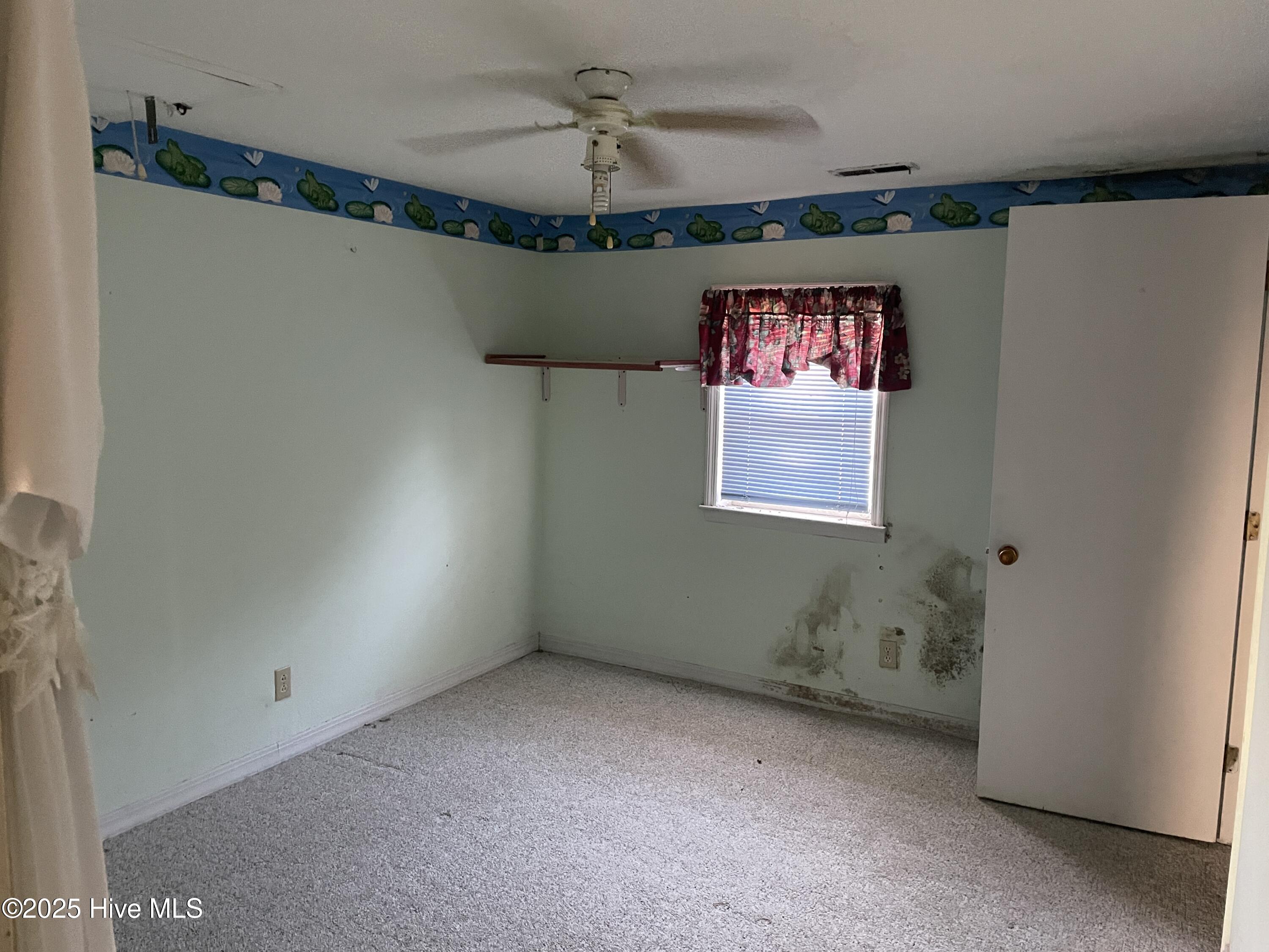 100546227 | Photo 14