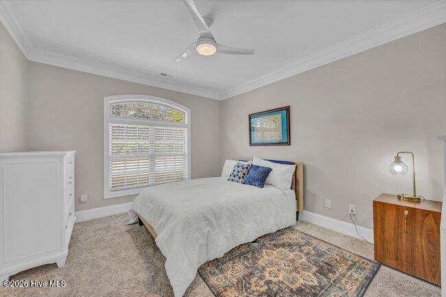 100552612 | Photo 18