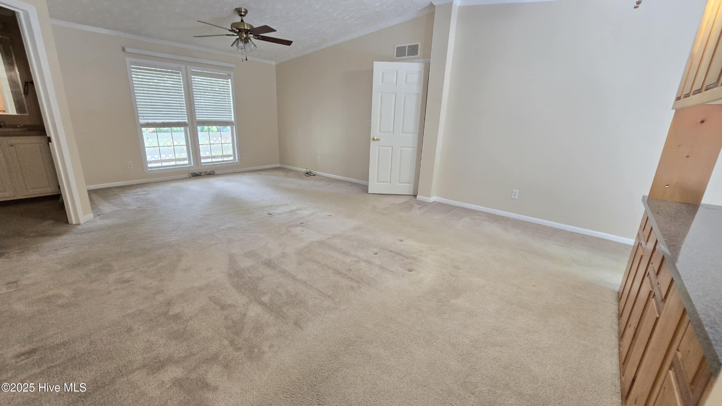 100522277 | Photo 53