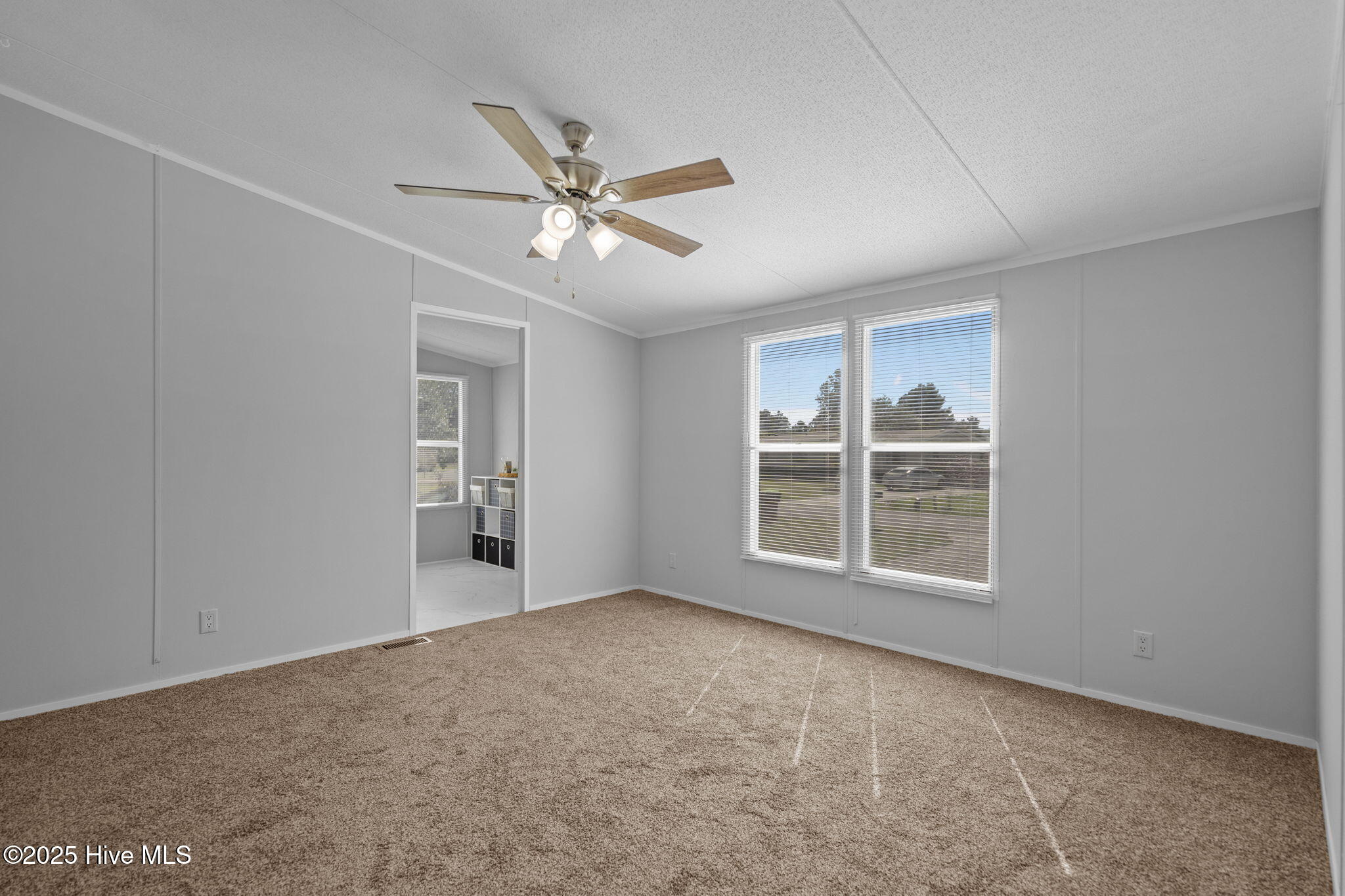 100536867 | Photo 23