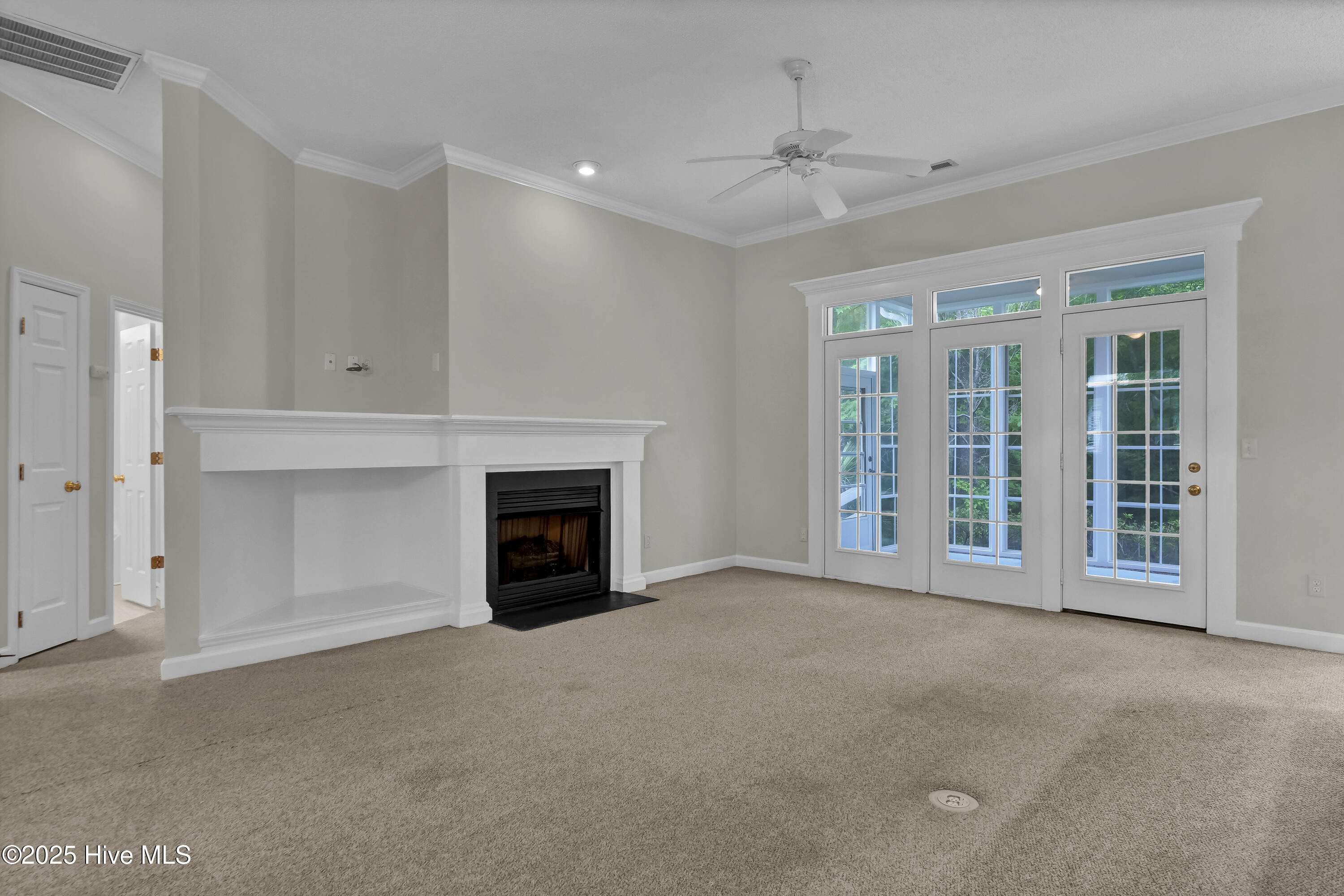 100510157 | Photo 15