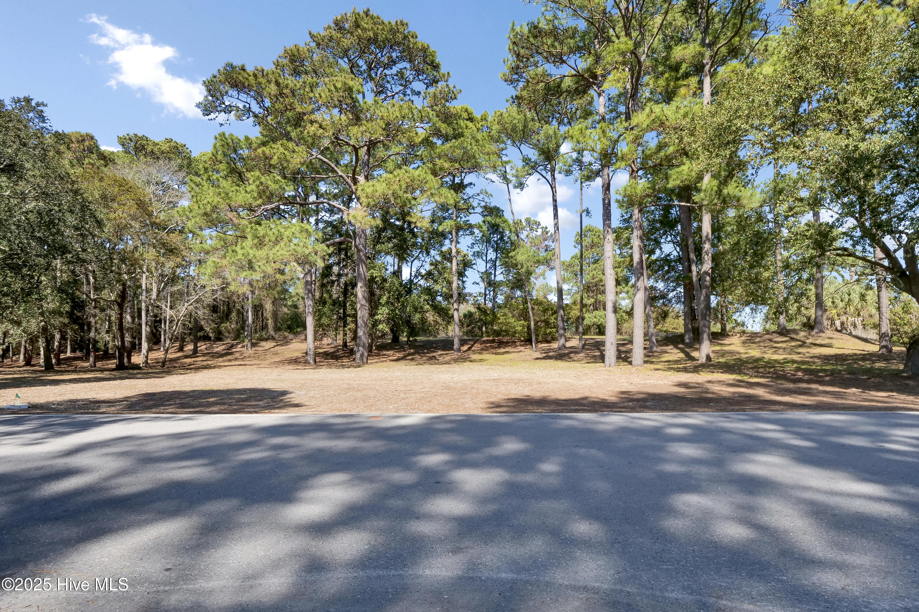 100473941 | Photo 24