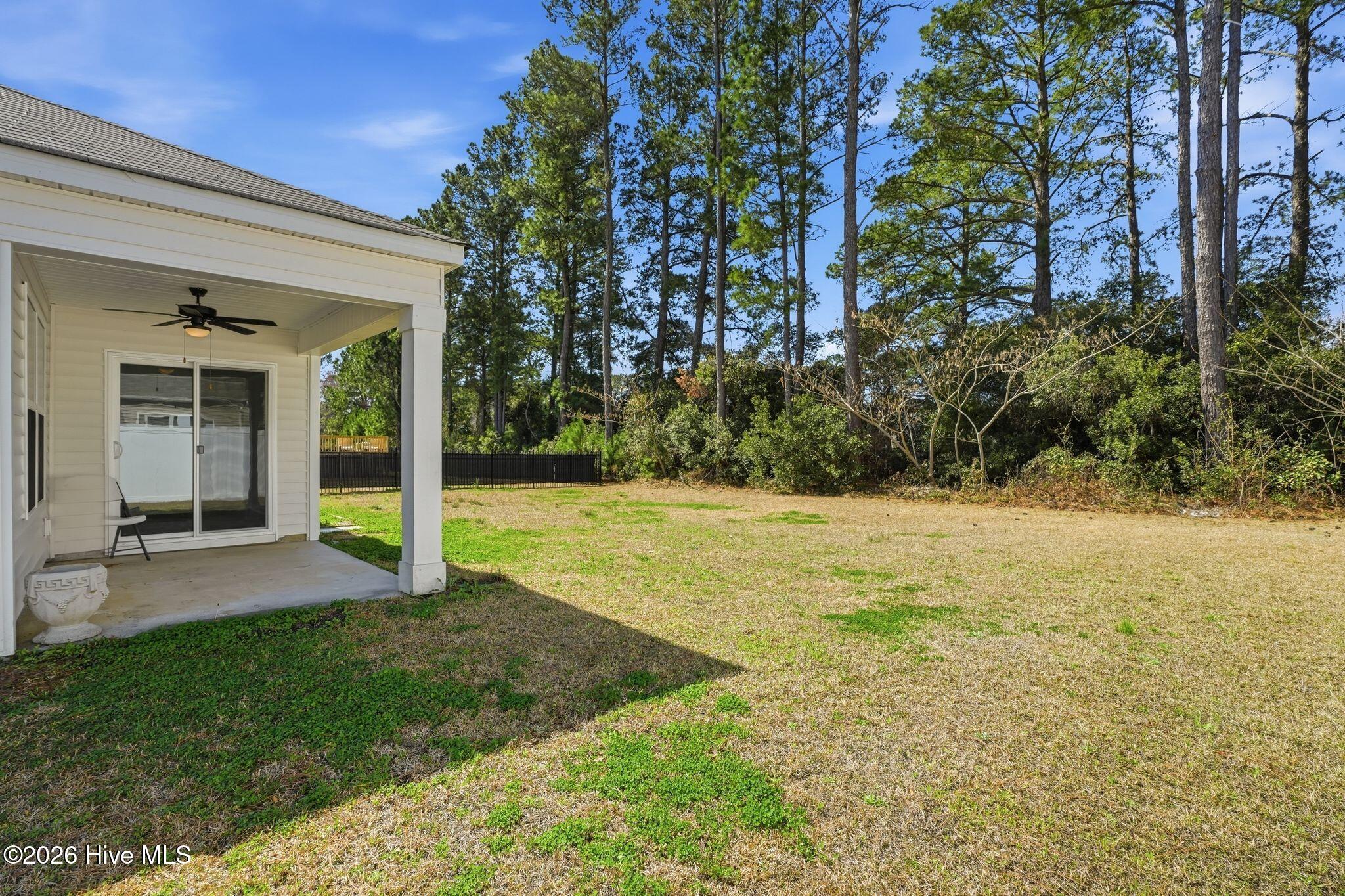 100558624 | Photo 52