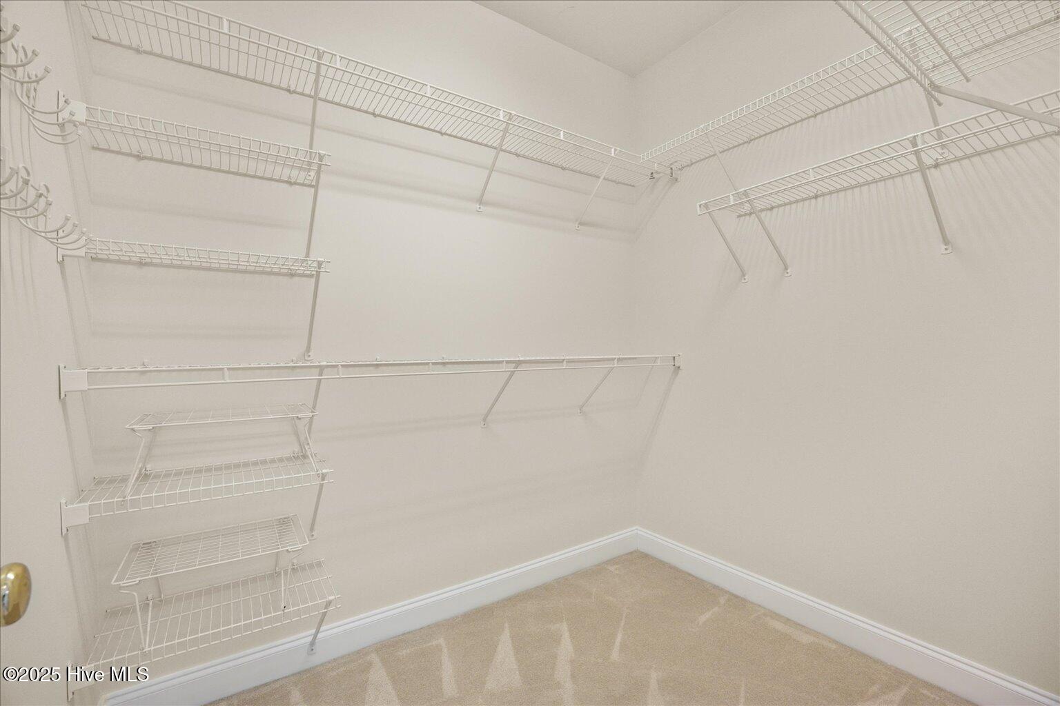 100521563 | Photo 23