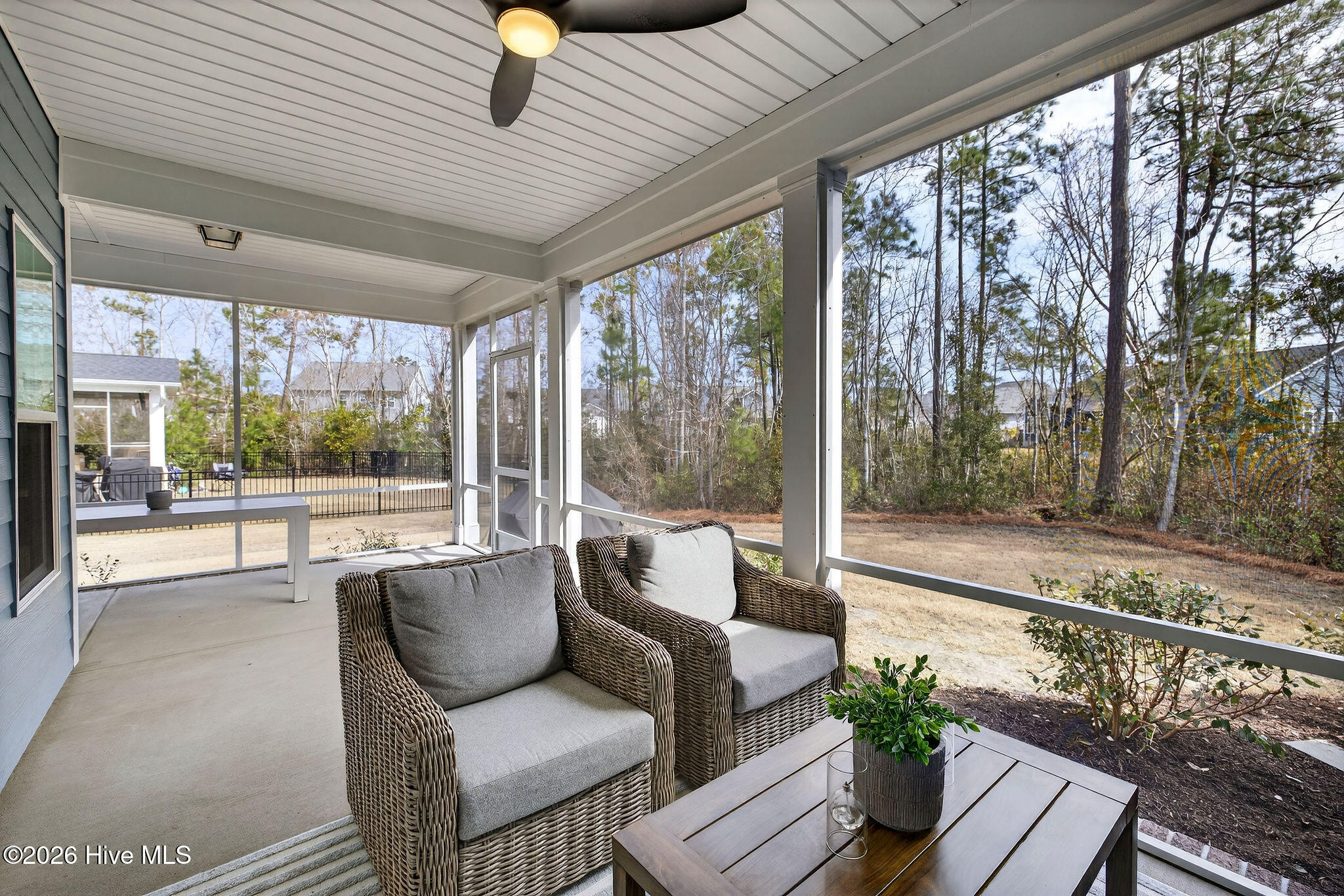 100558378 | Photo 43