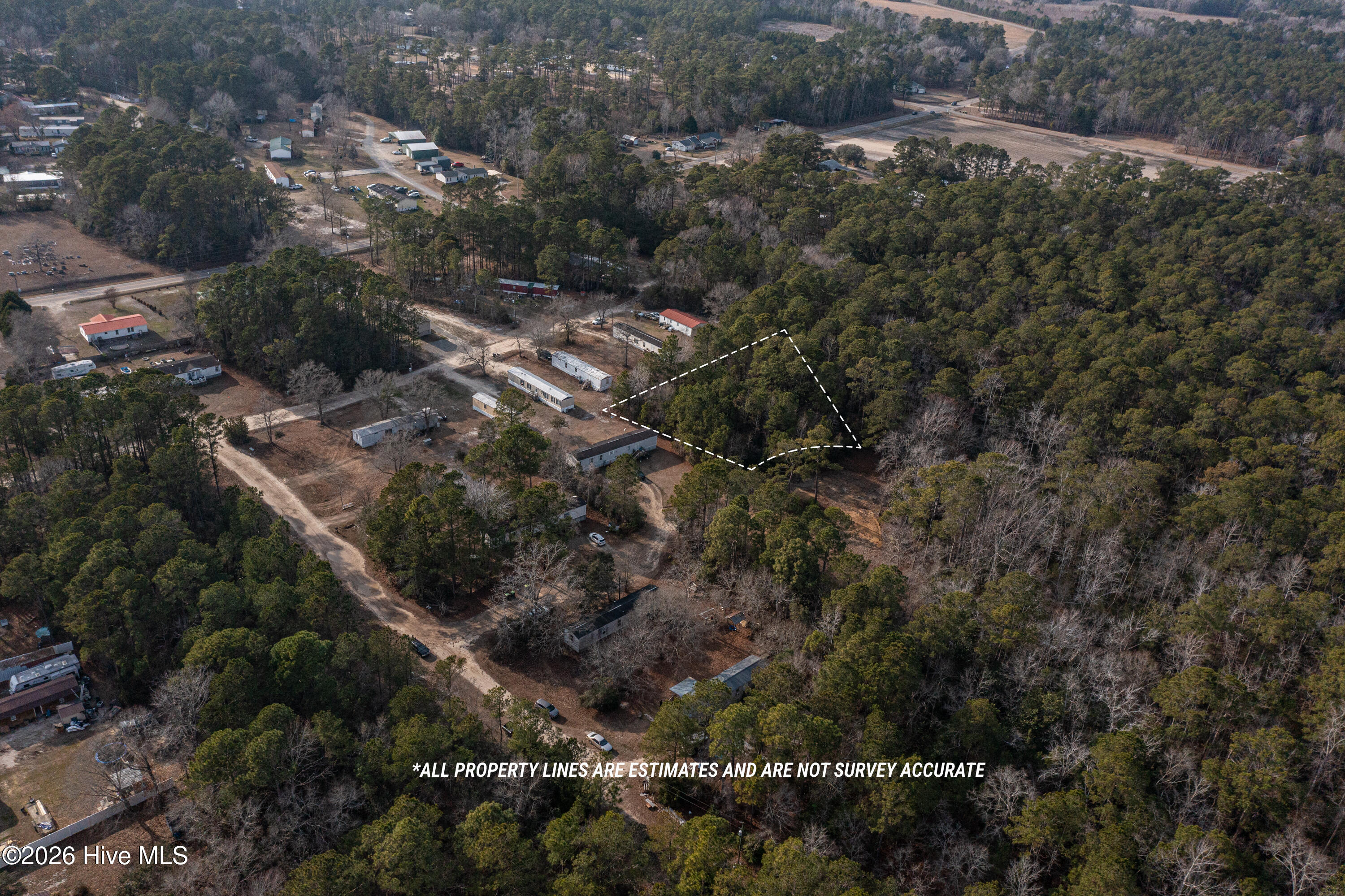 100556424 | Photo 19