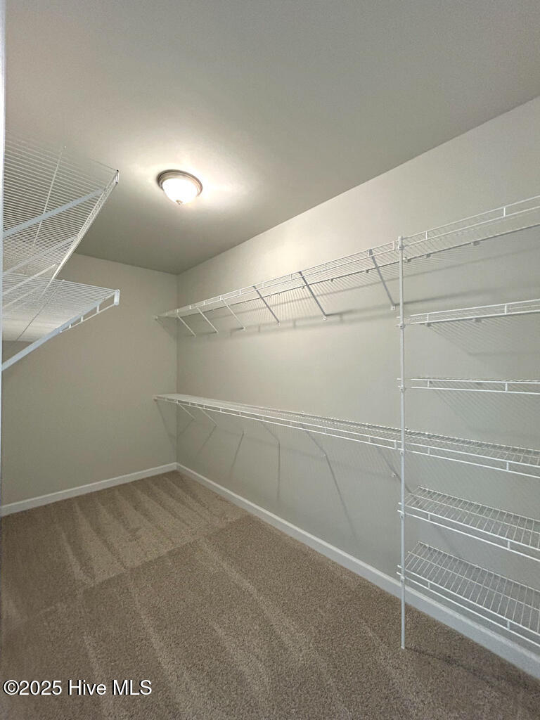 100547563 | Photo 26