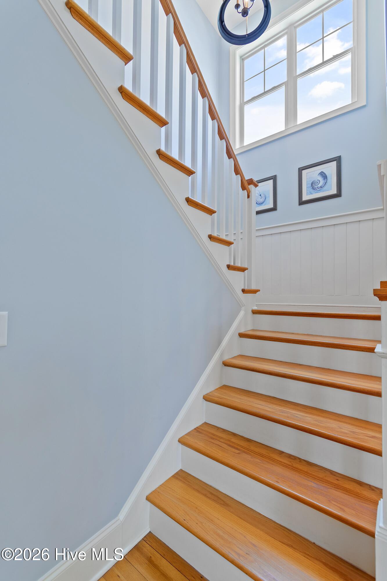 100567309 | Photo 70