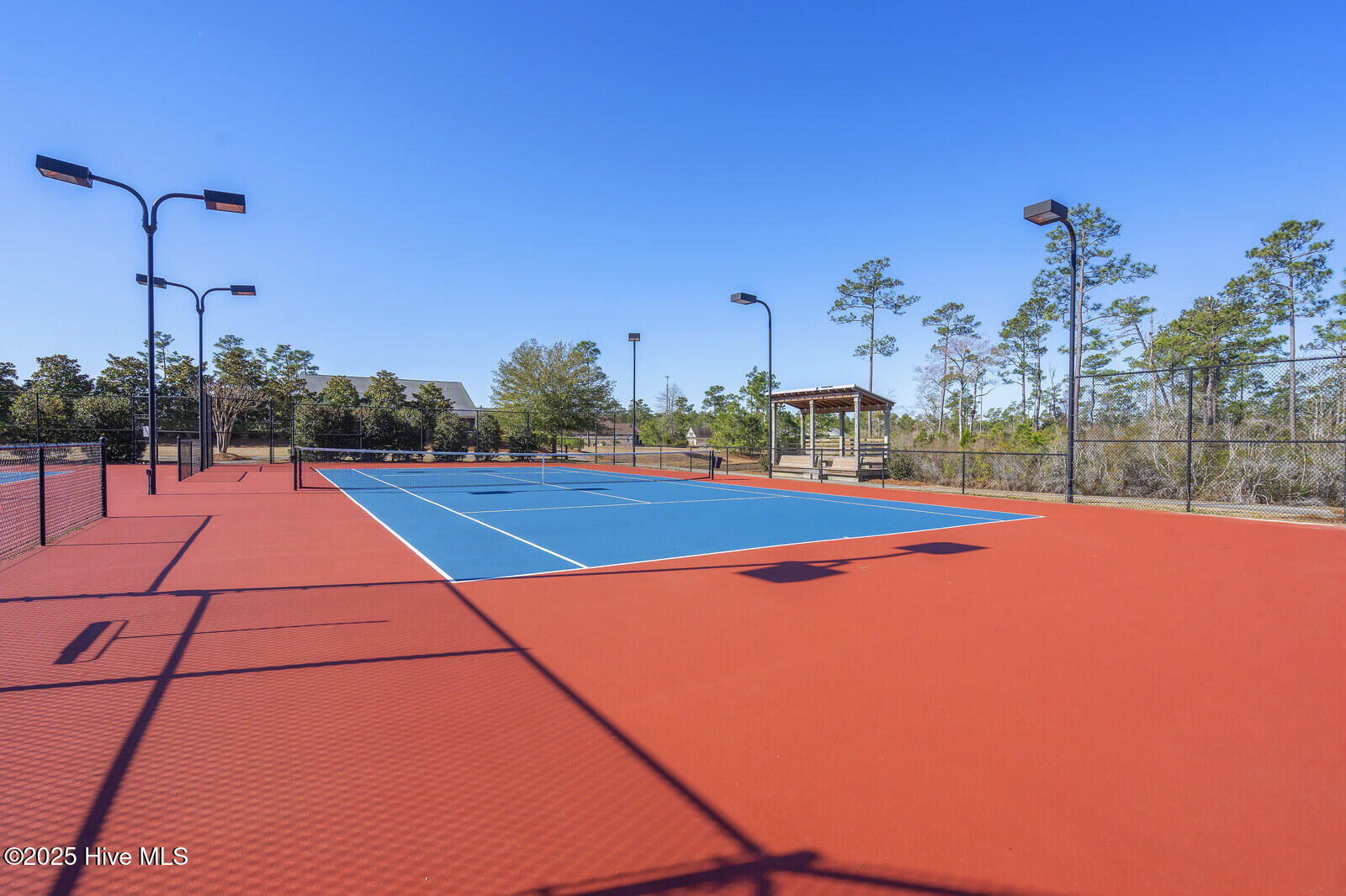 100471796 | Photo 55