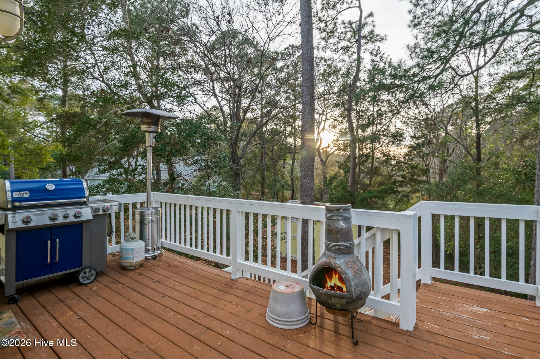 100549420 | Photo 39