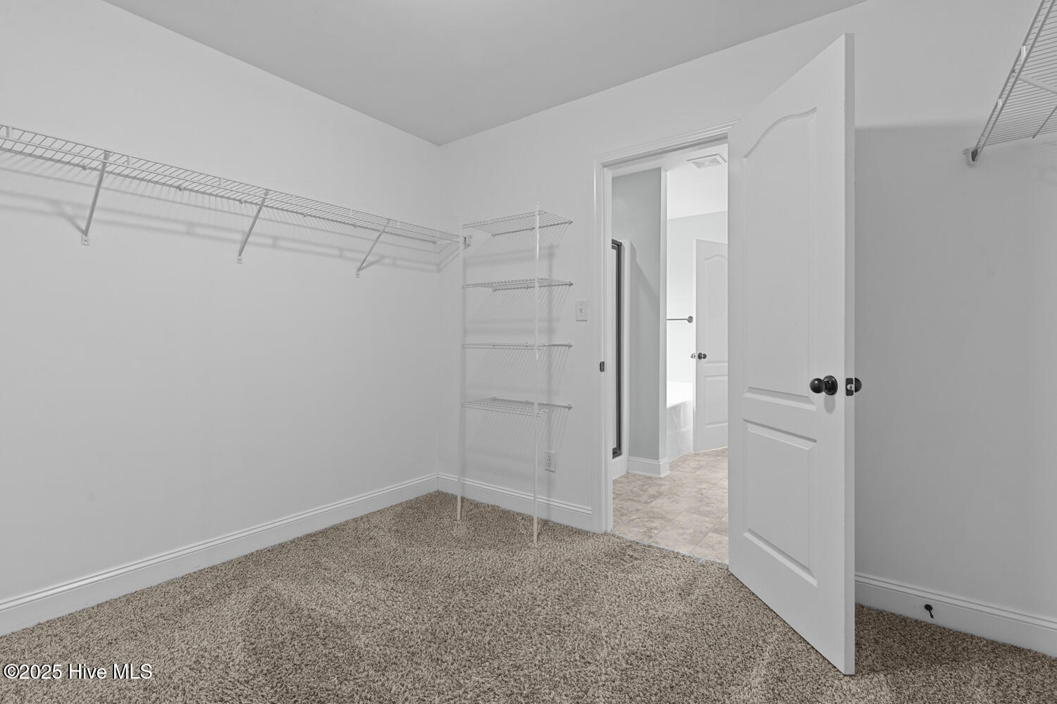 100523446 | Photo 34