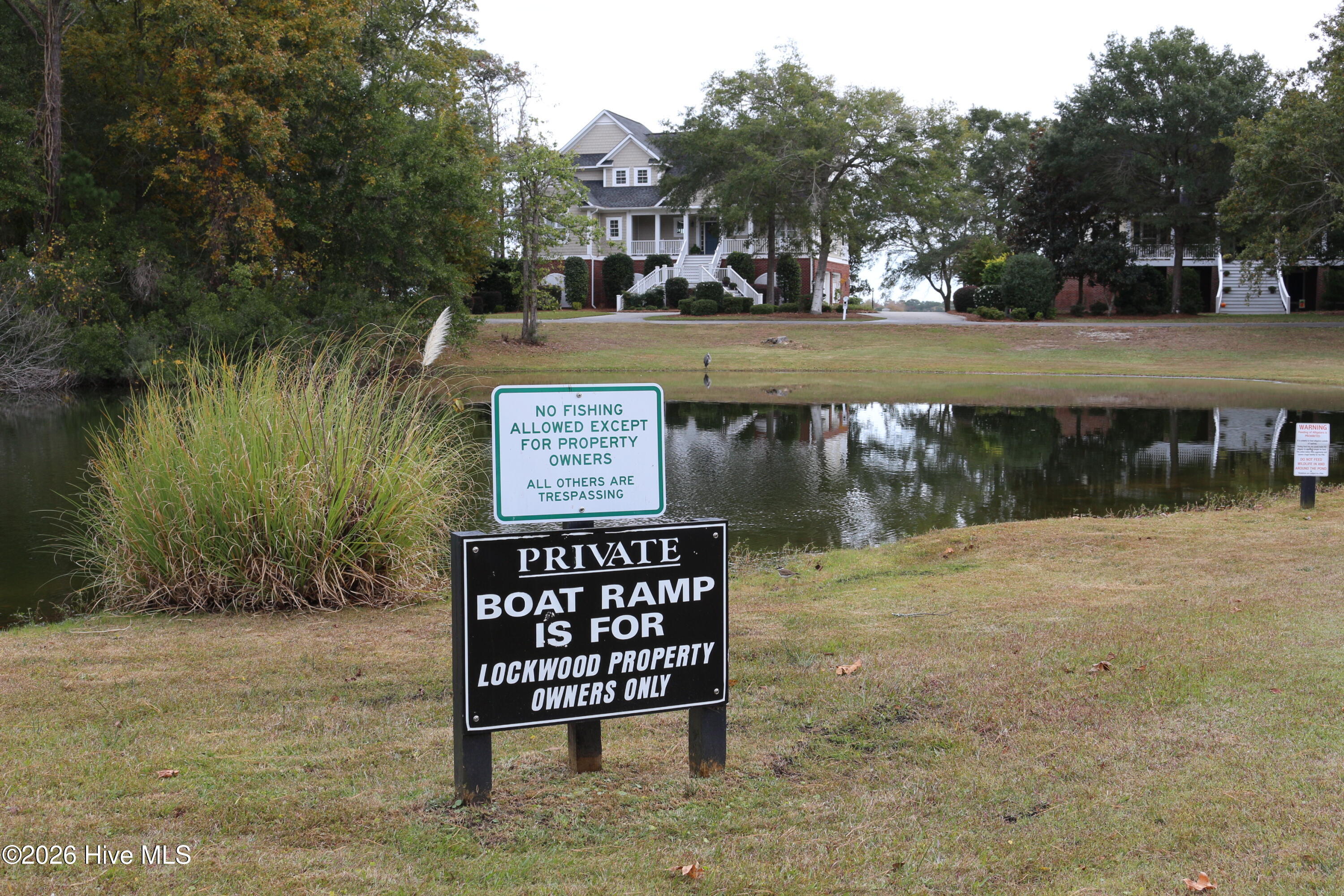 100566261 | Photo 29