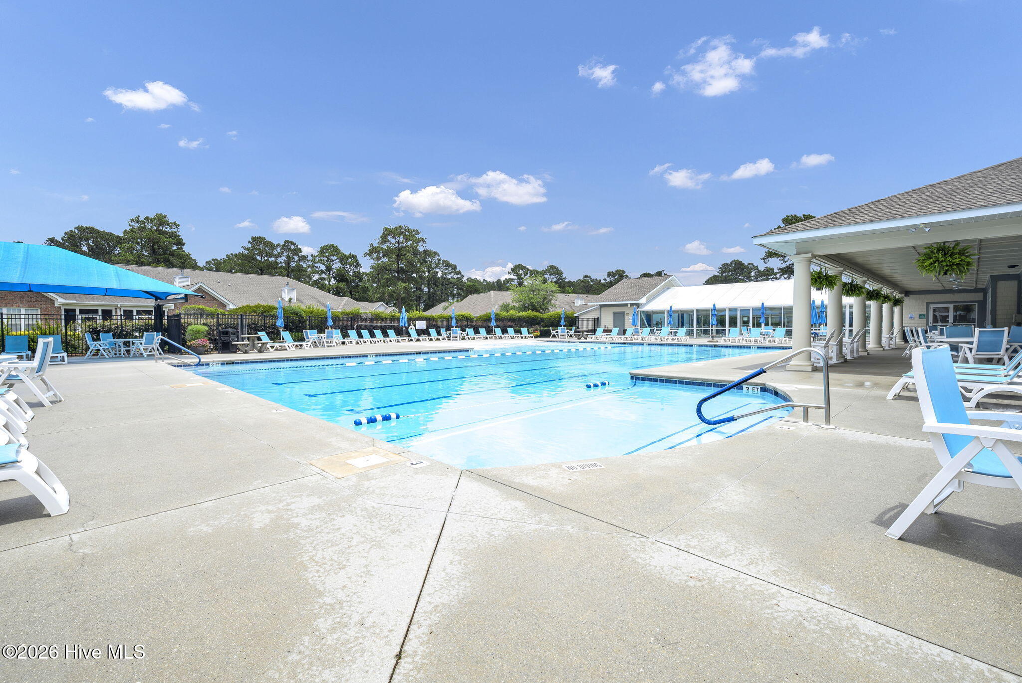 100557033 | Photo 50