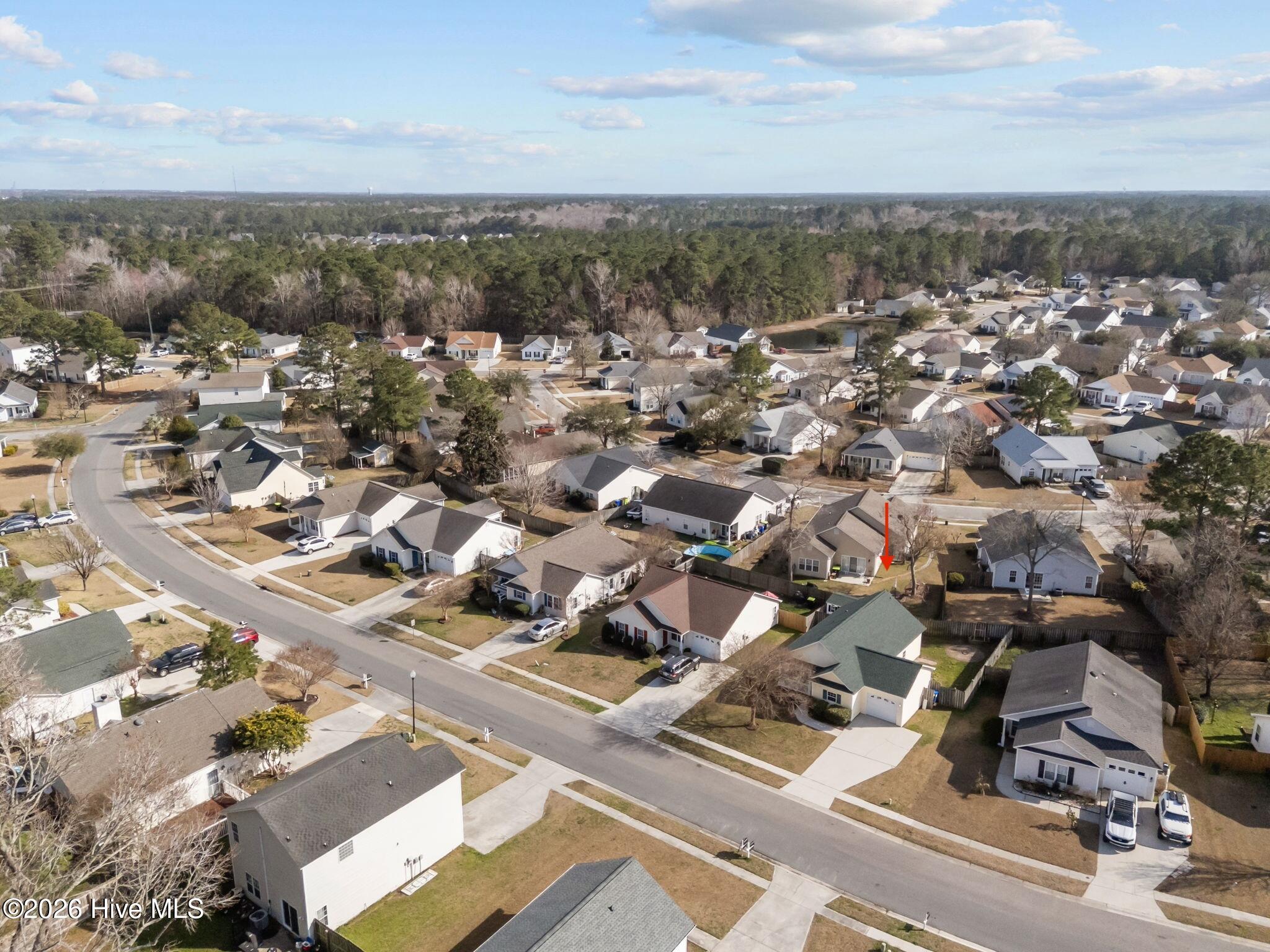 100557931 | Photo 30