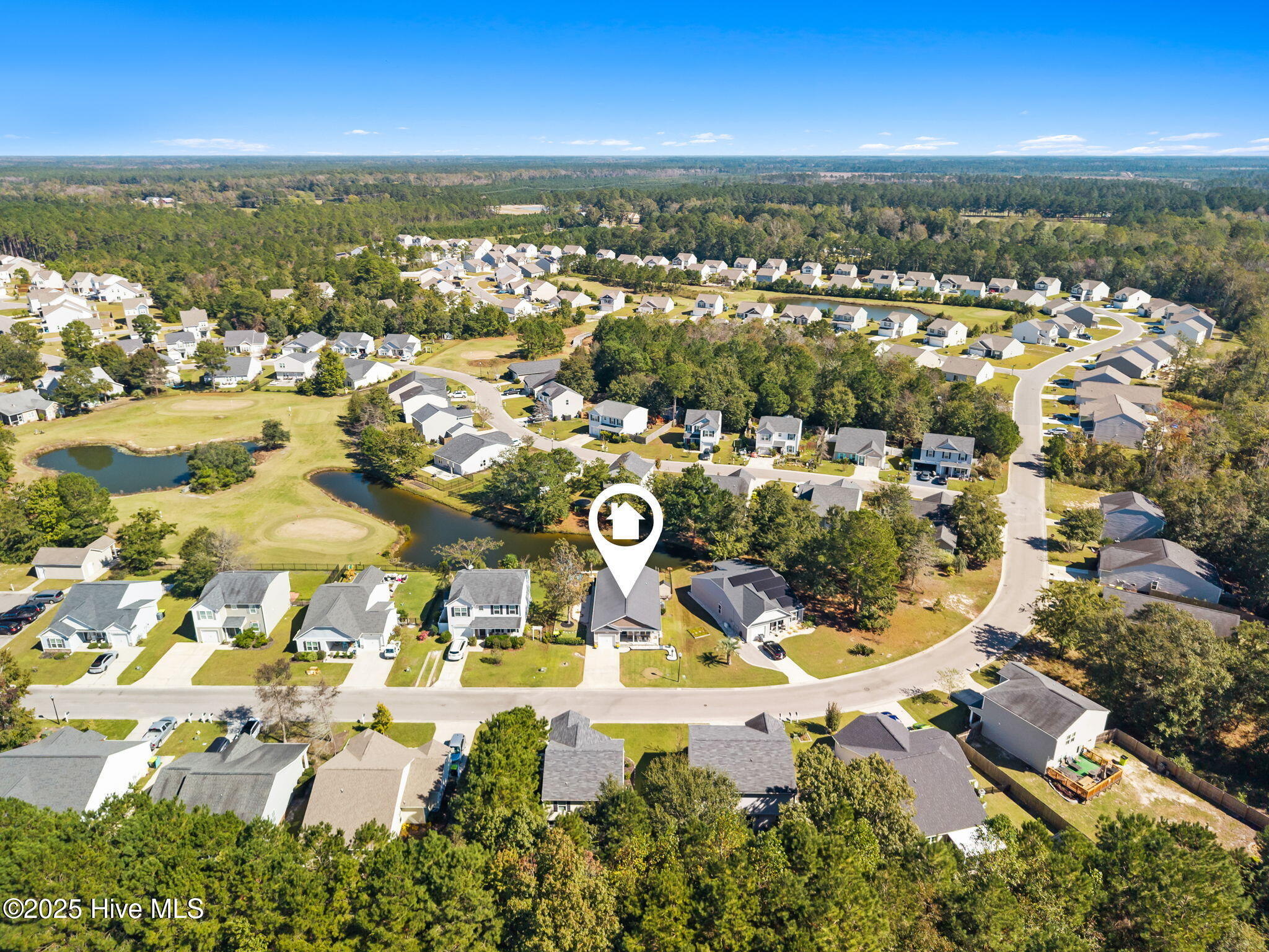 100536893 | Photo 43