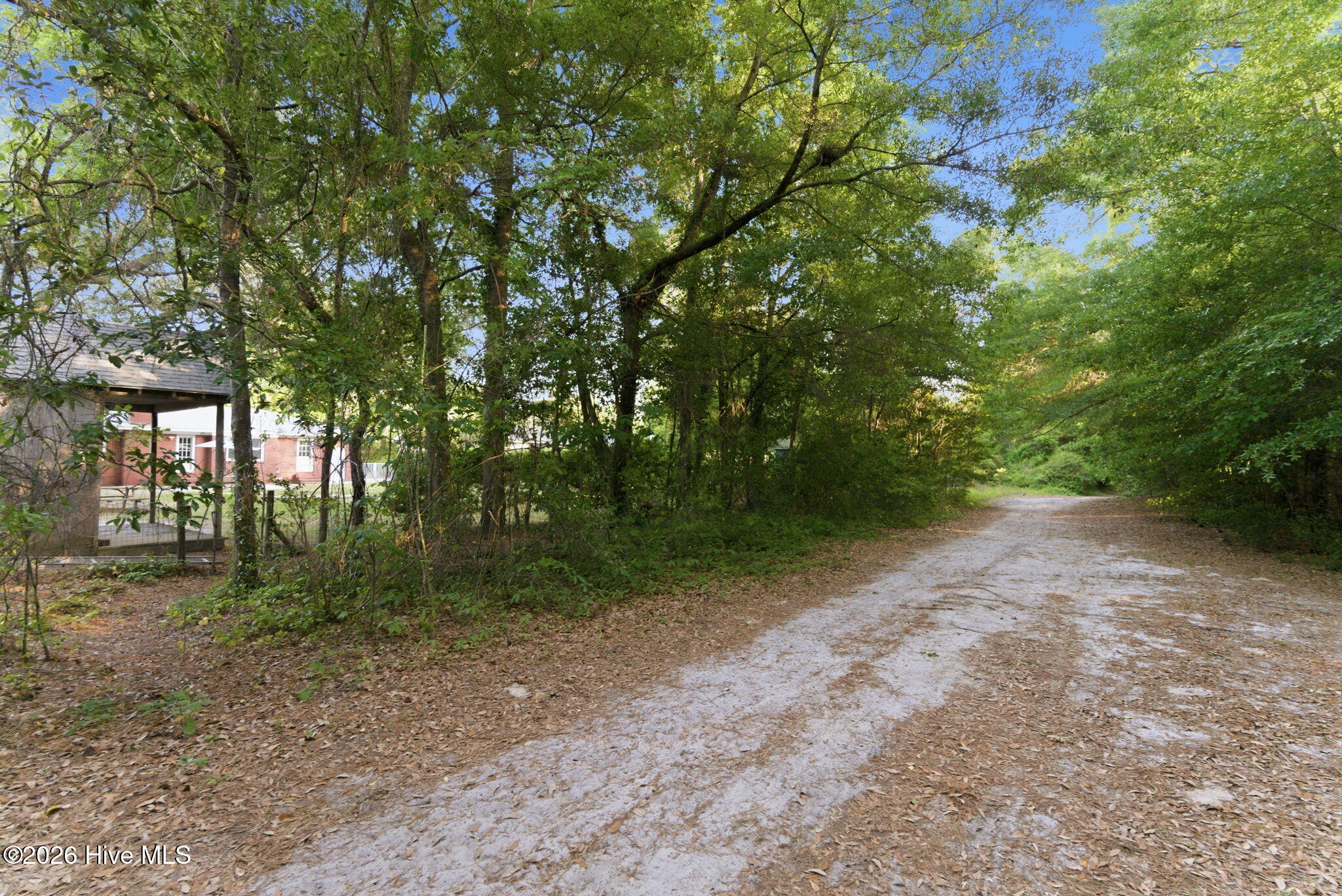 100569519 | Photo 48