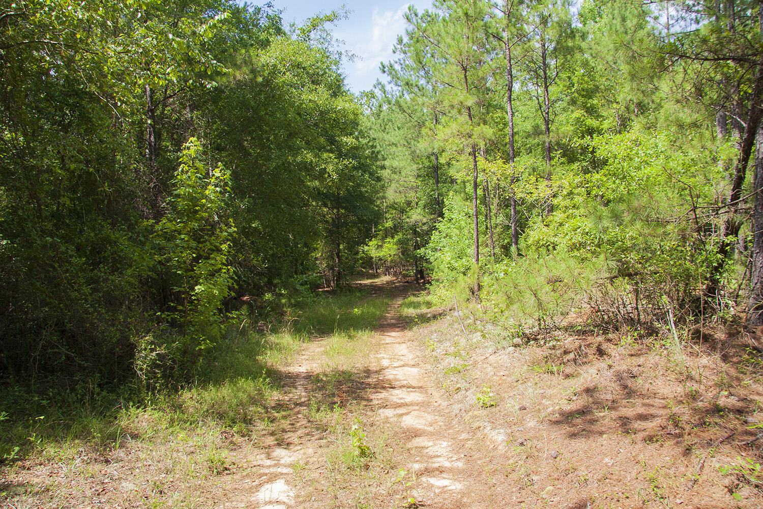 1515D HEPHZIBAH - MCBEAN Road, Hephzibah, GA, 30815