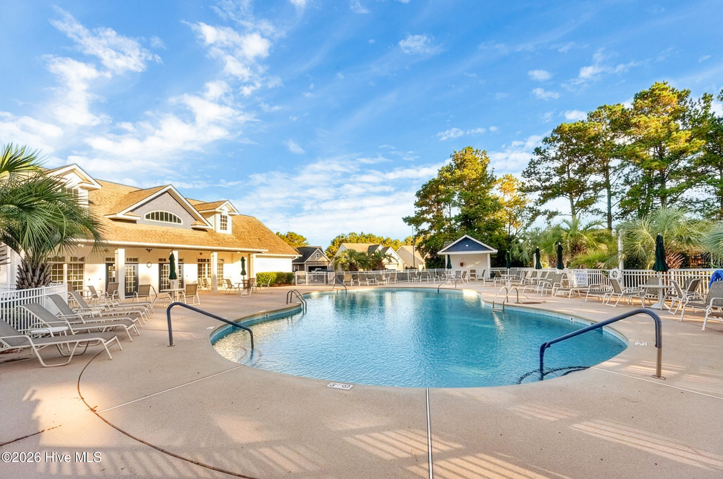 100555932 | Photo 42