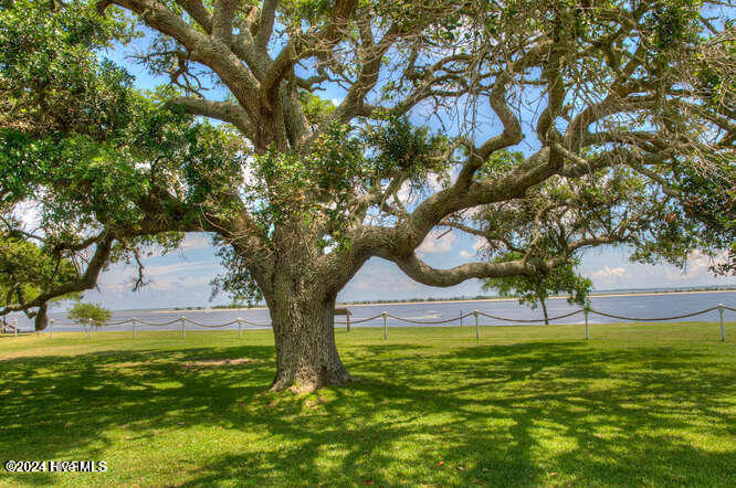 100545085 | Photo 53