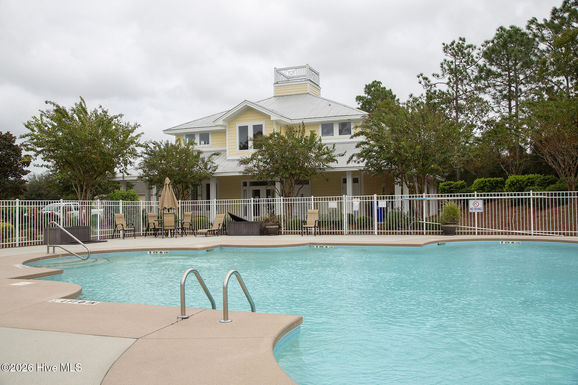 100556141 | Photo 46