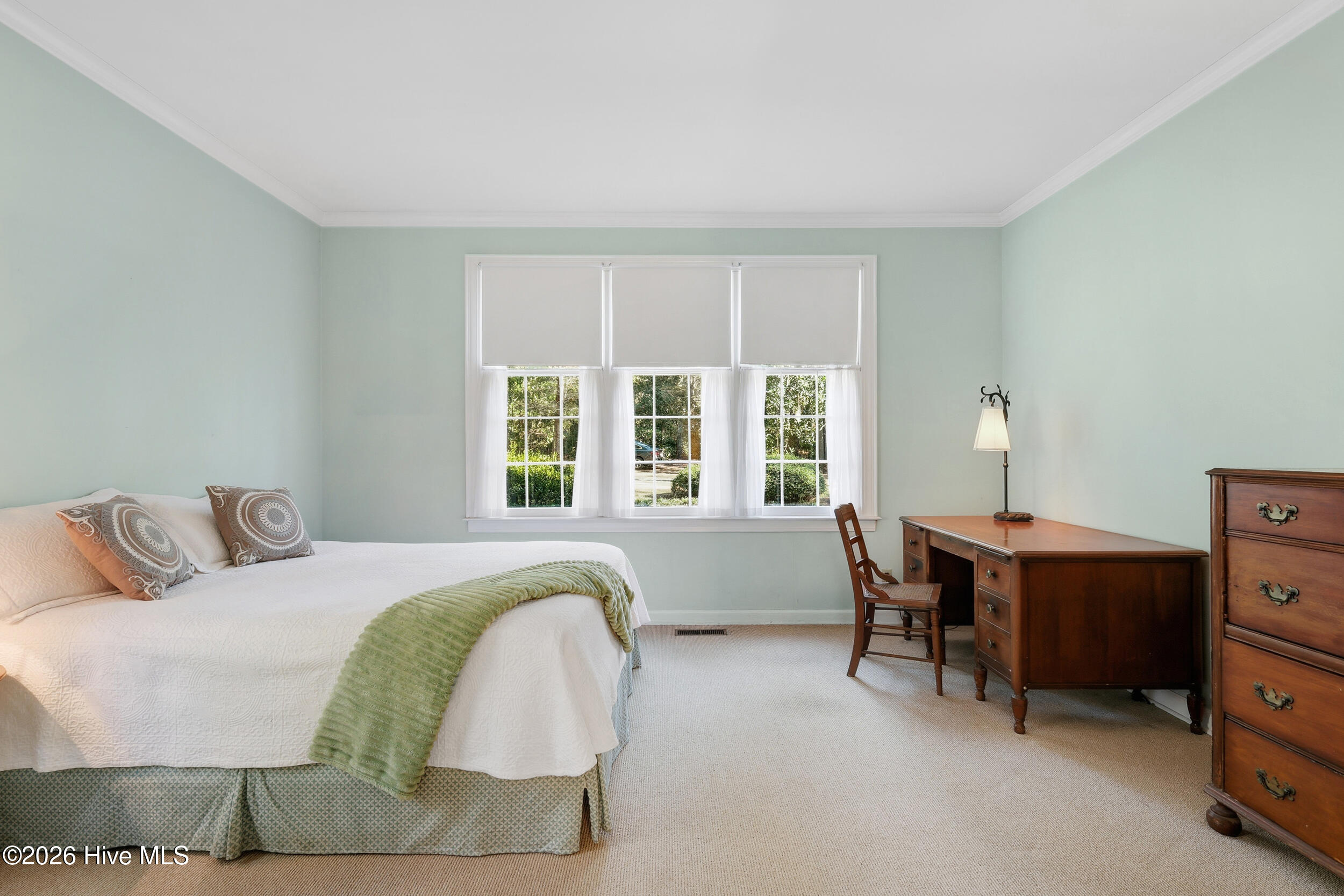 100554424 | Photo 20