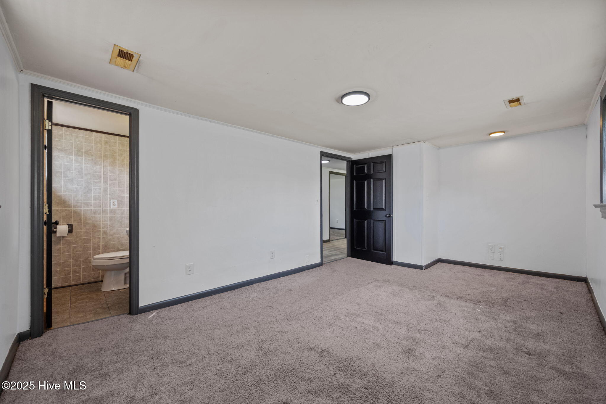 100534081 | Photo 26