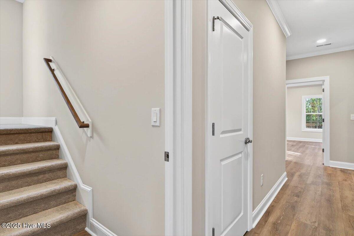 100546300 | Photo 38