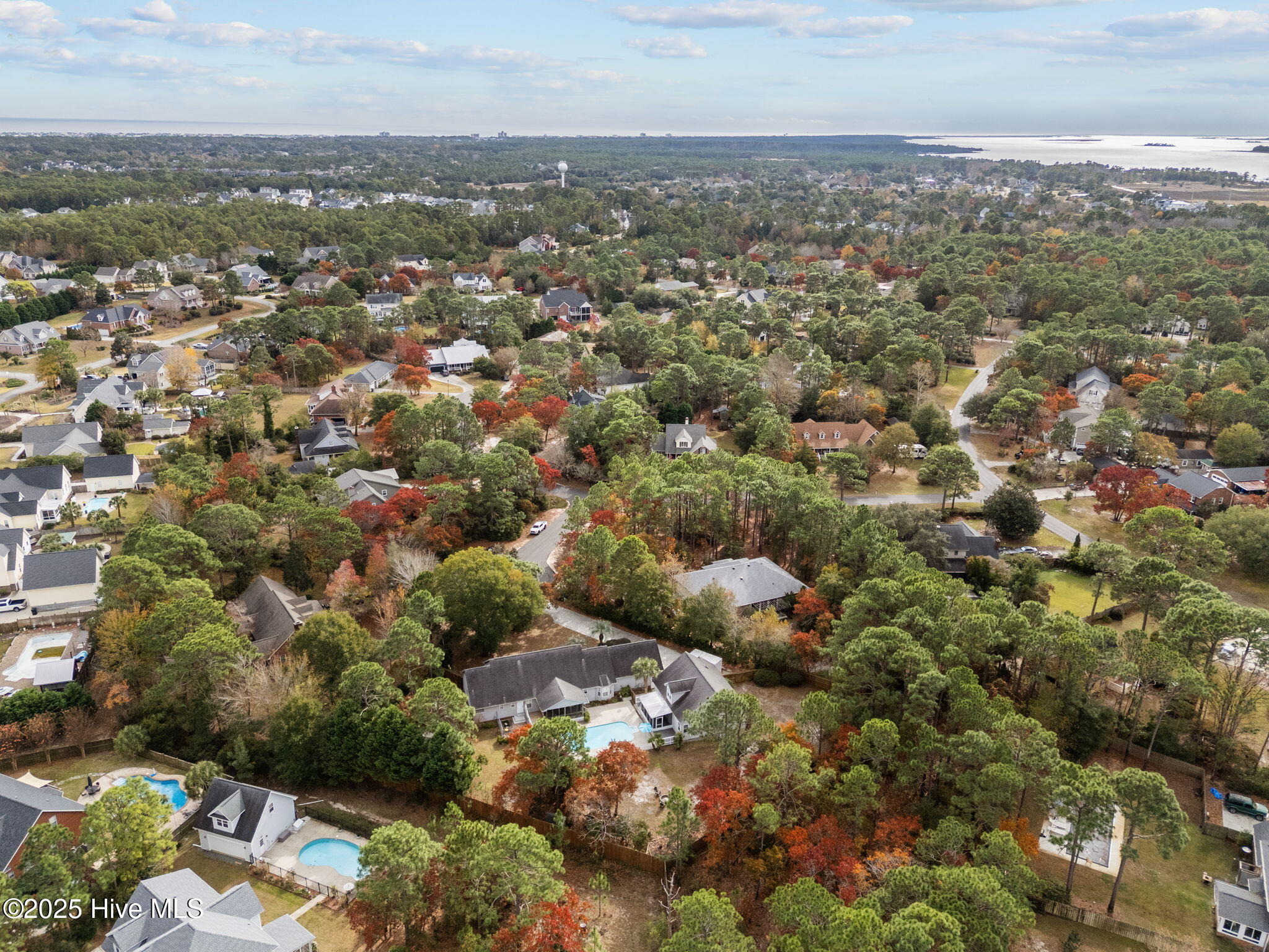 100543111 | Photo 47