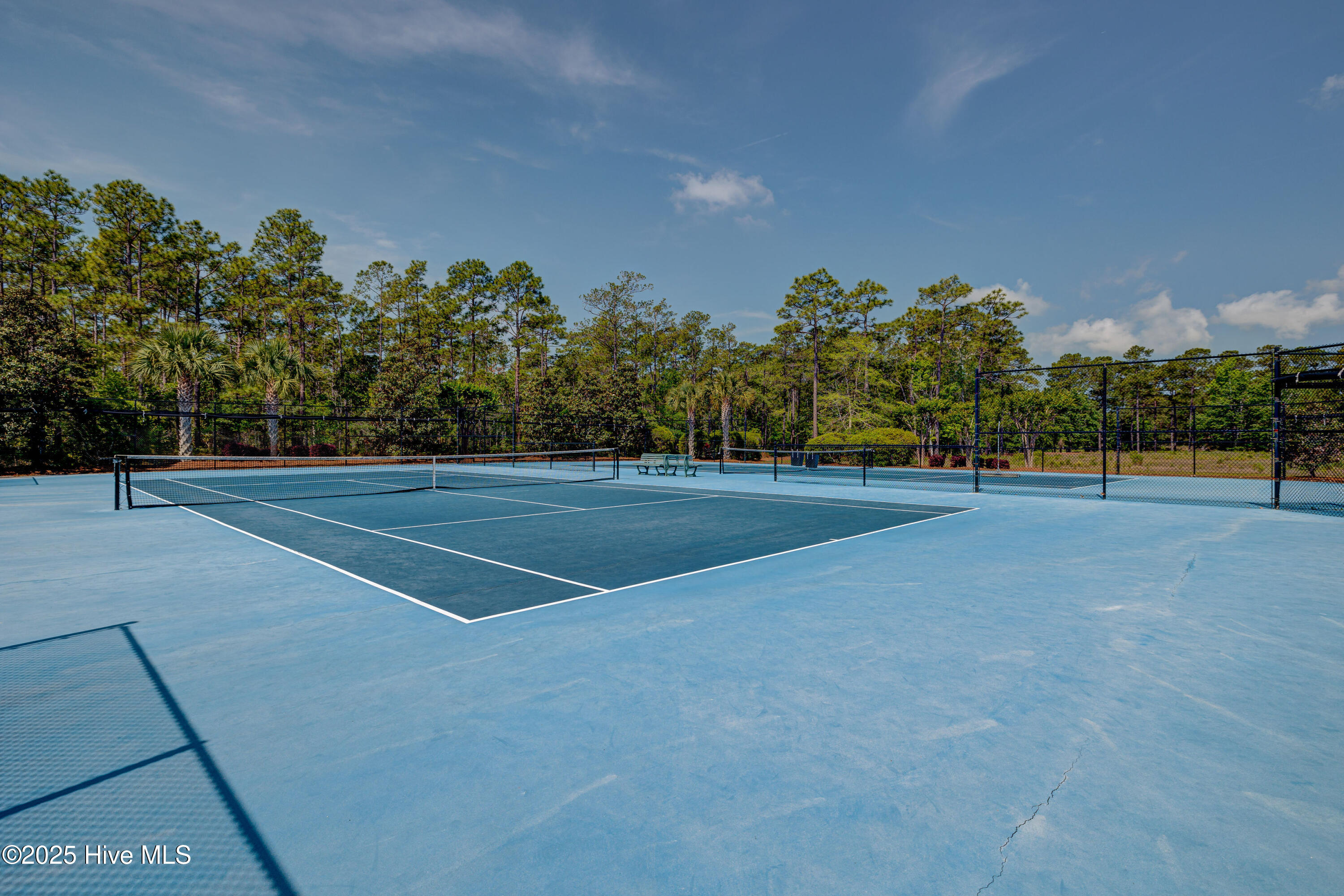 100547497 | Photo 36