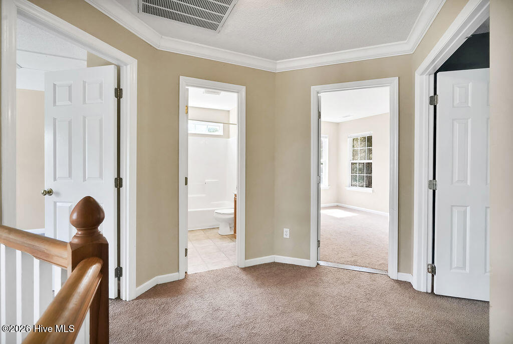 100563606 | Photo 20