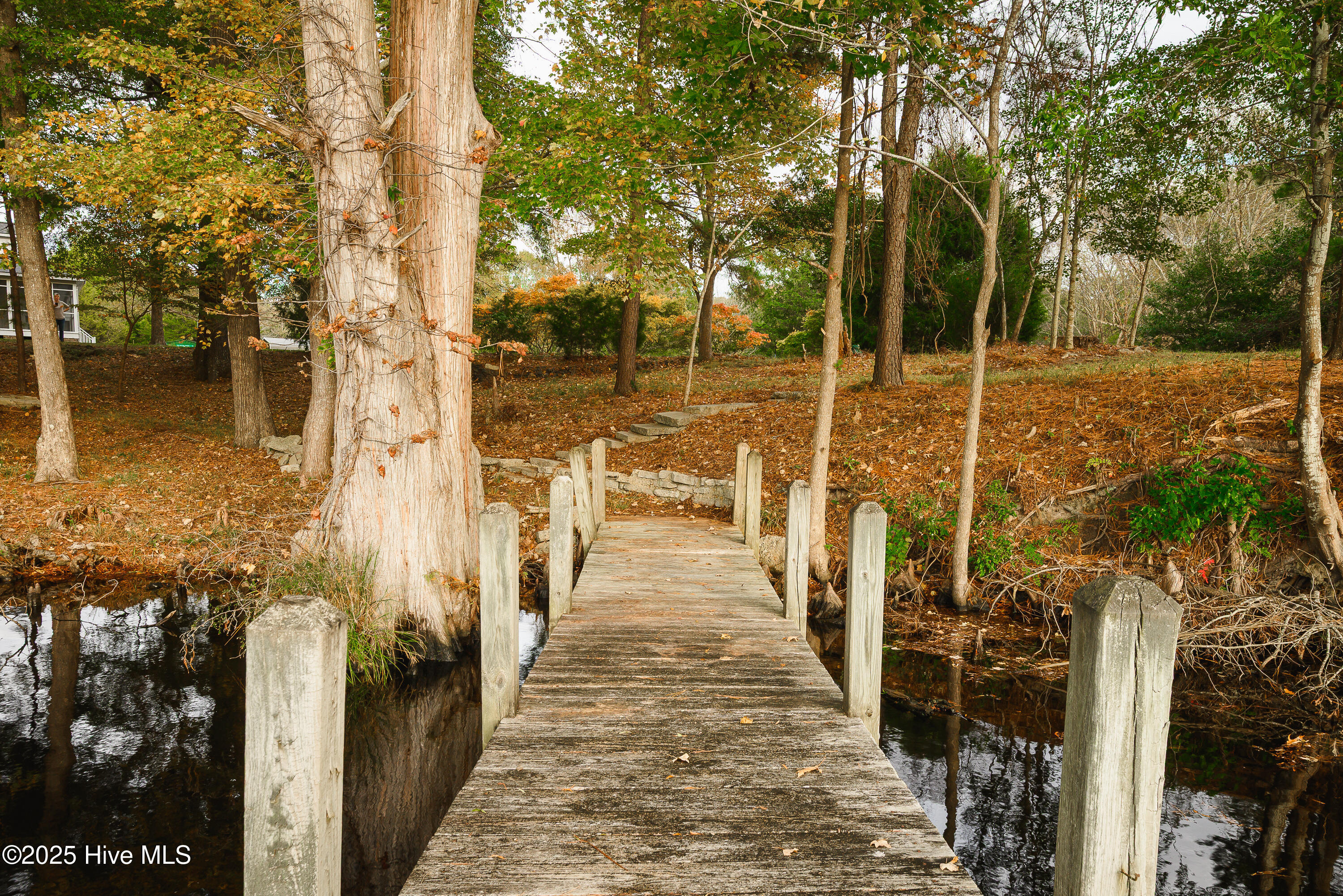 Dock