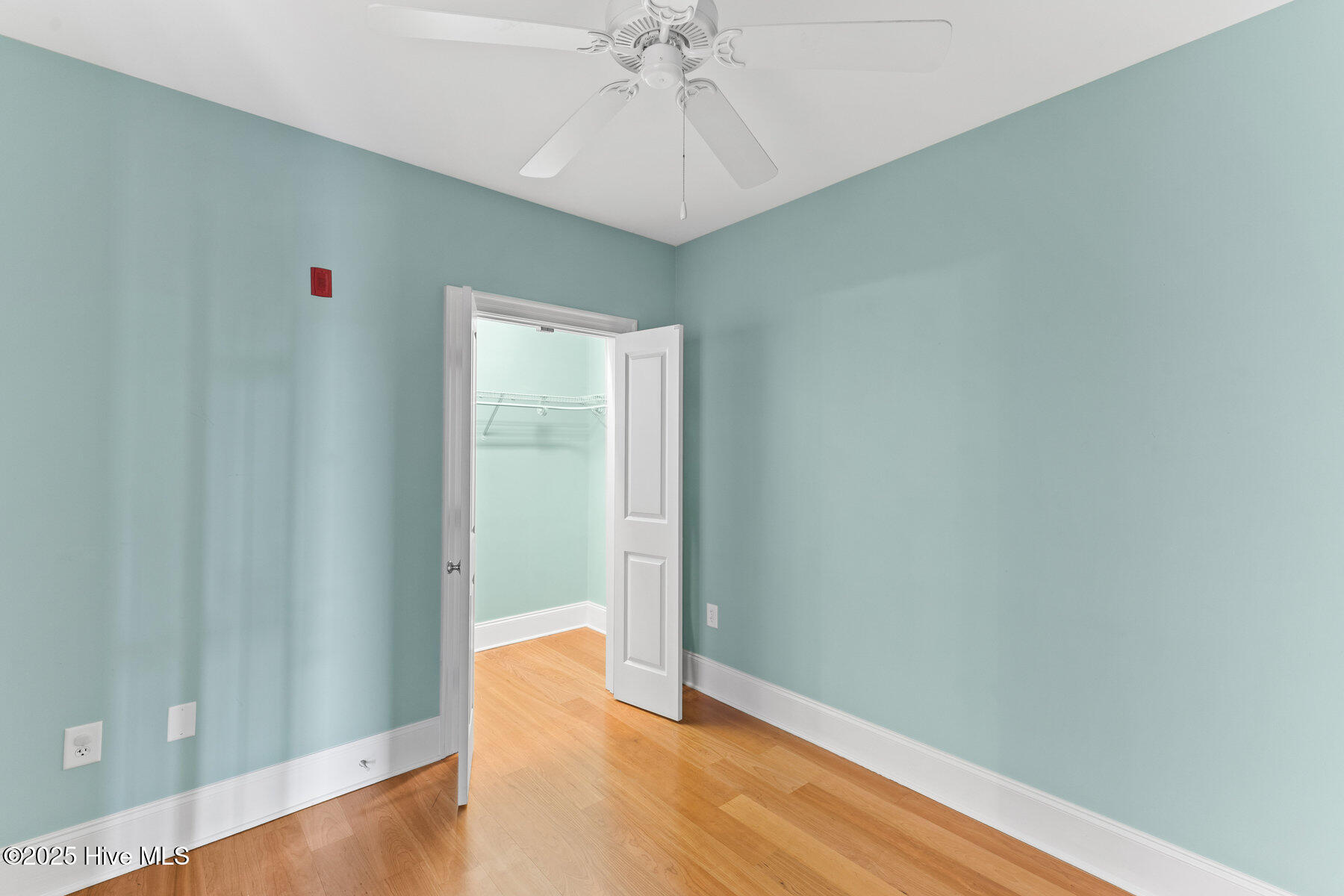 100518149 | Photo 21