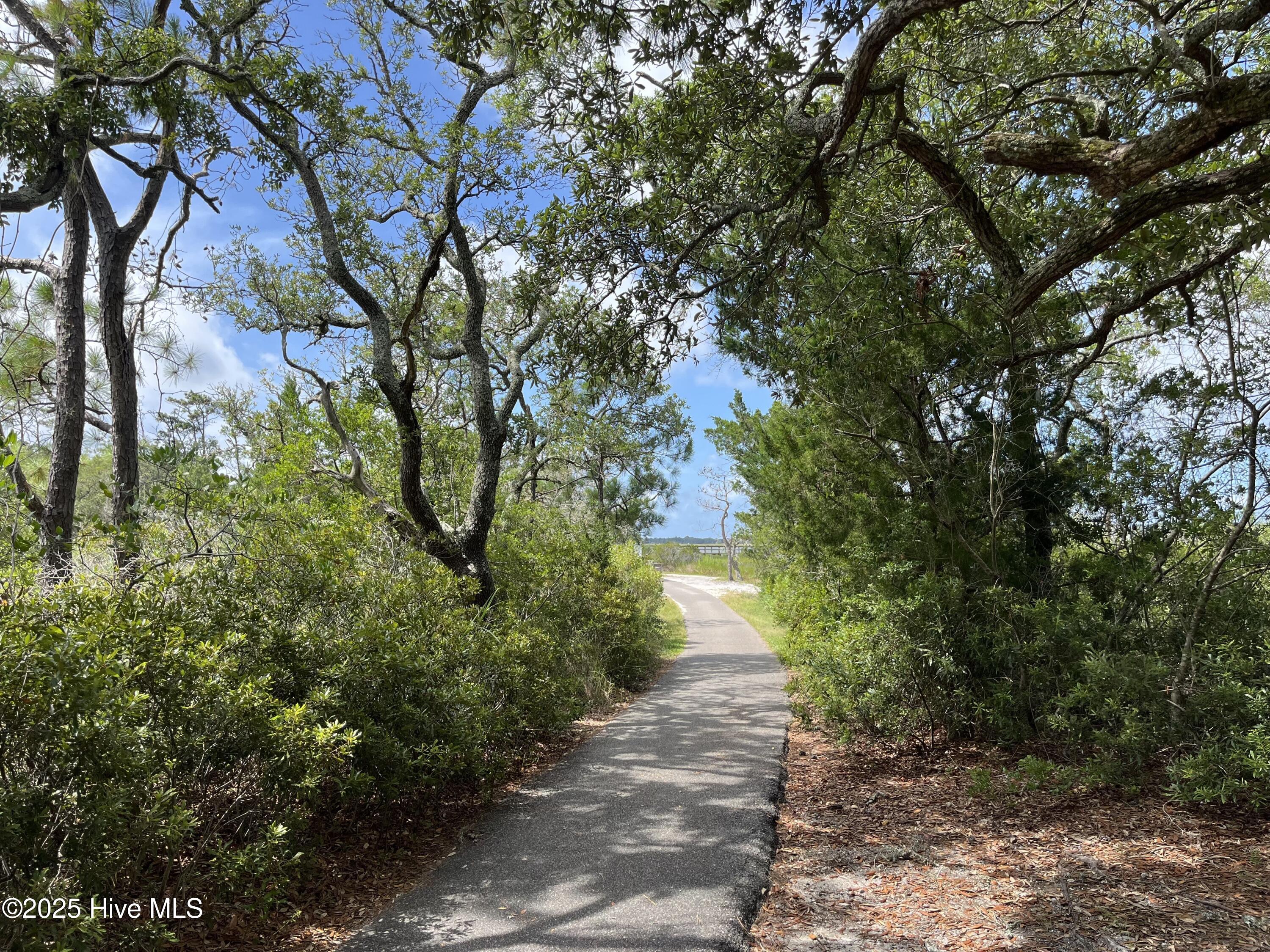 100516761 | Photo 17