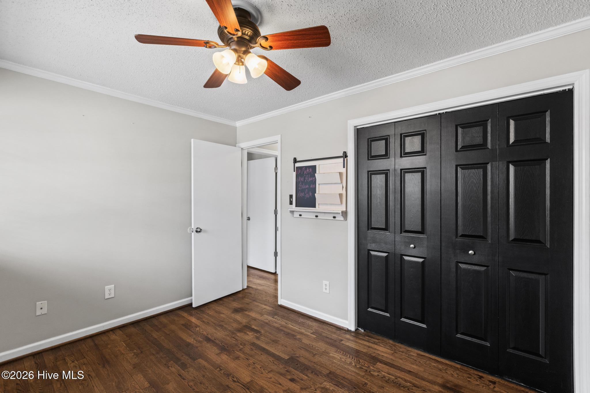 100558586 | Photo 20