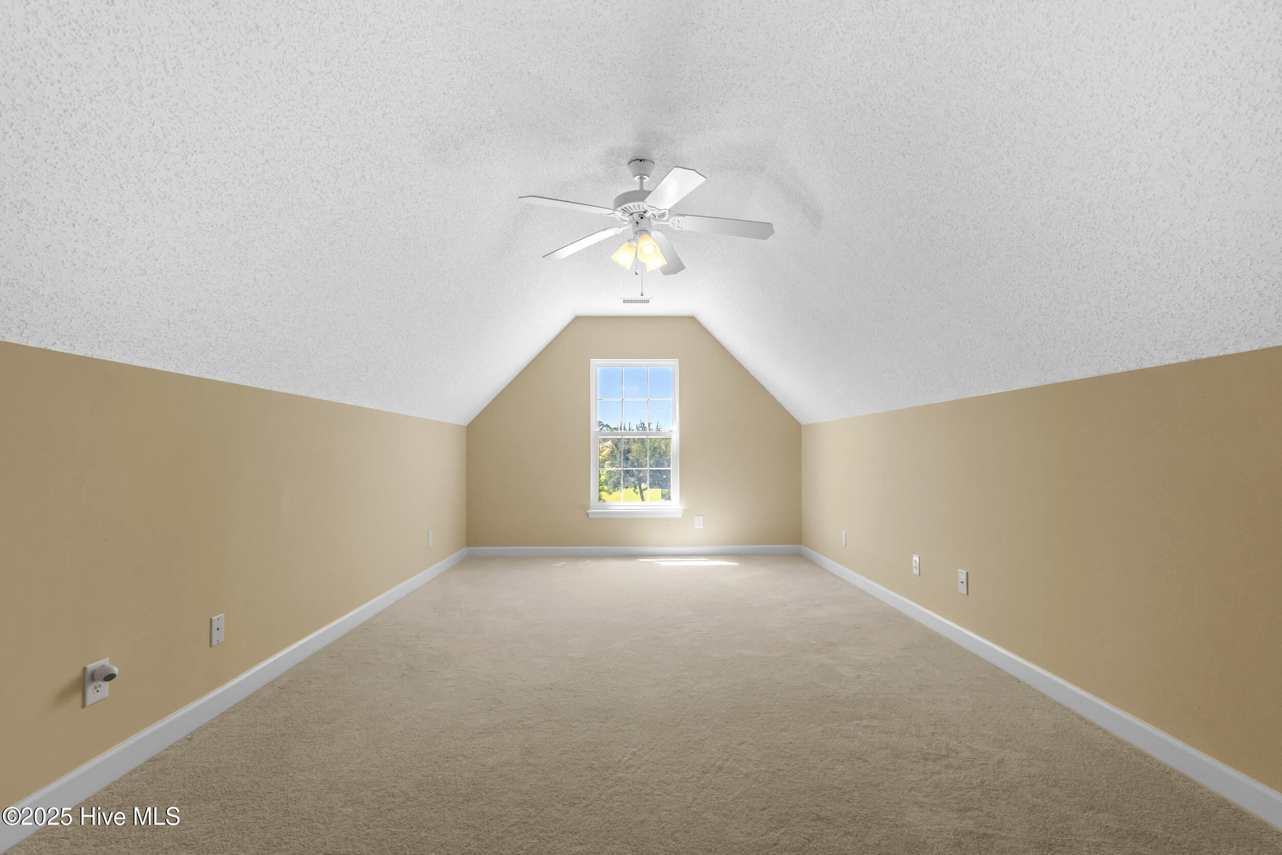 100529171 | Photo 25