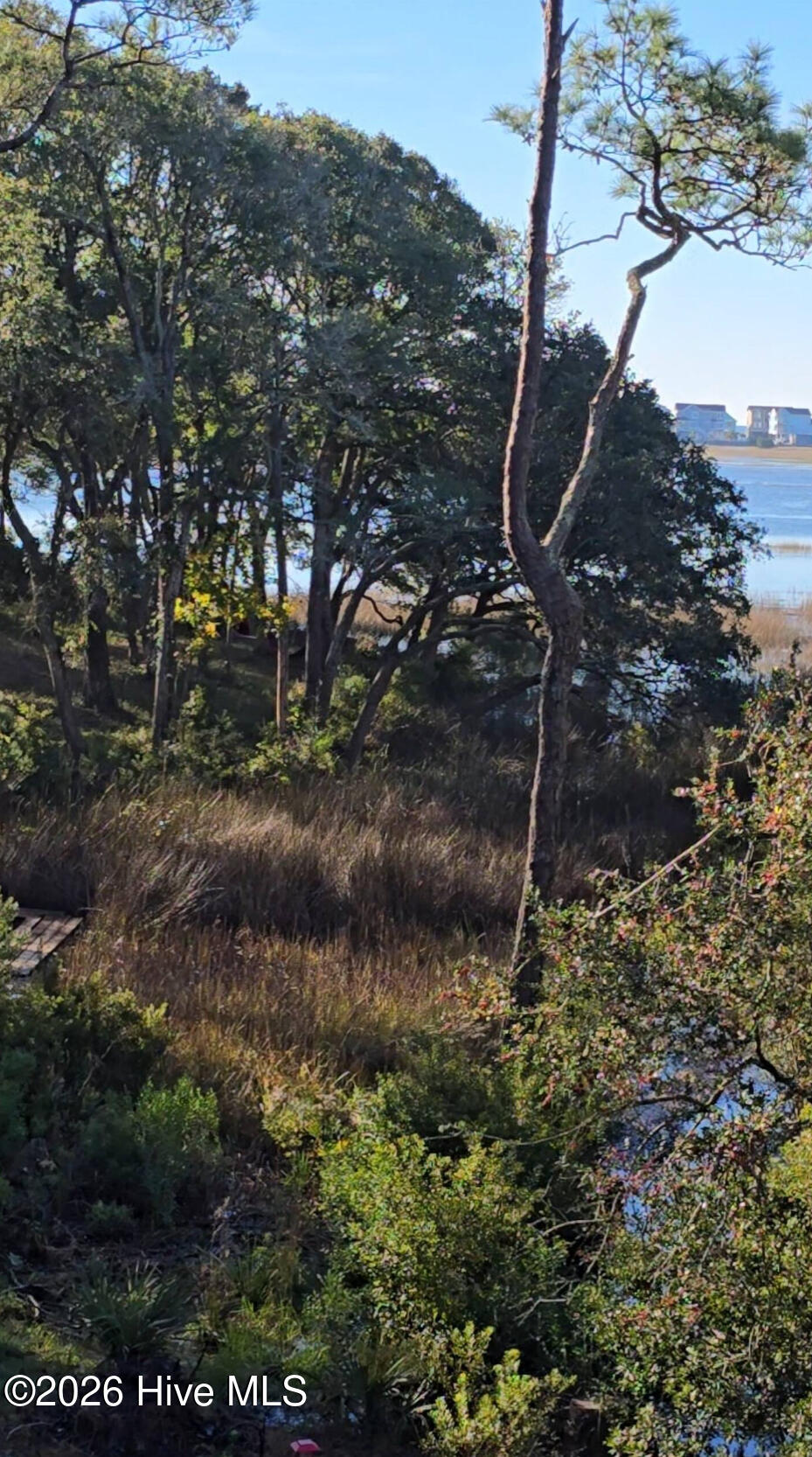 100547303 | Photo 54