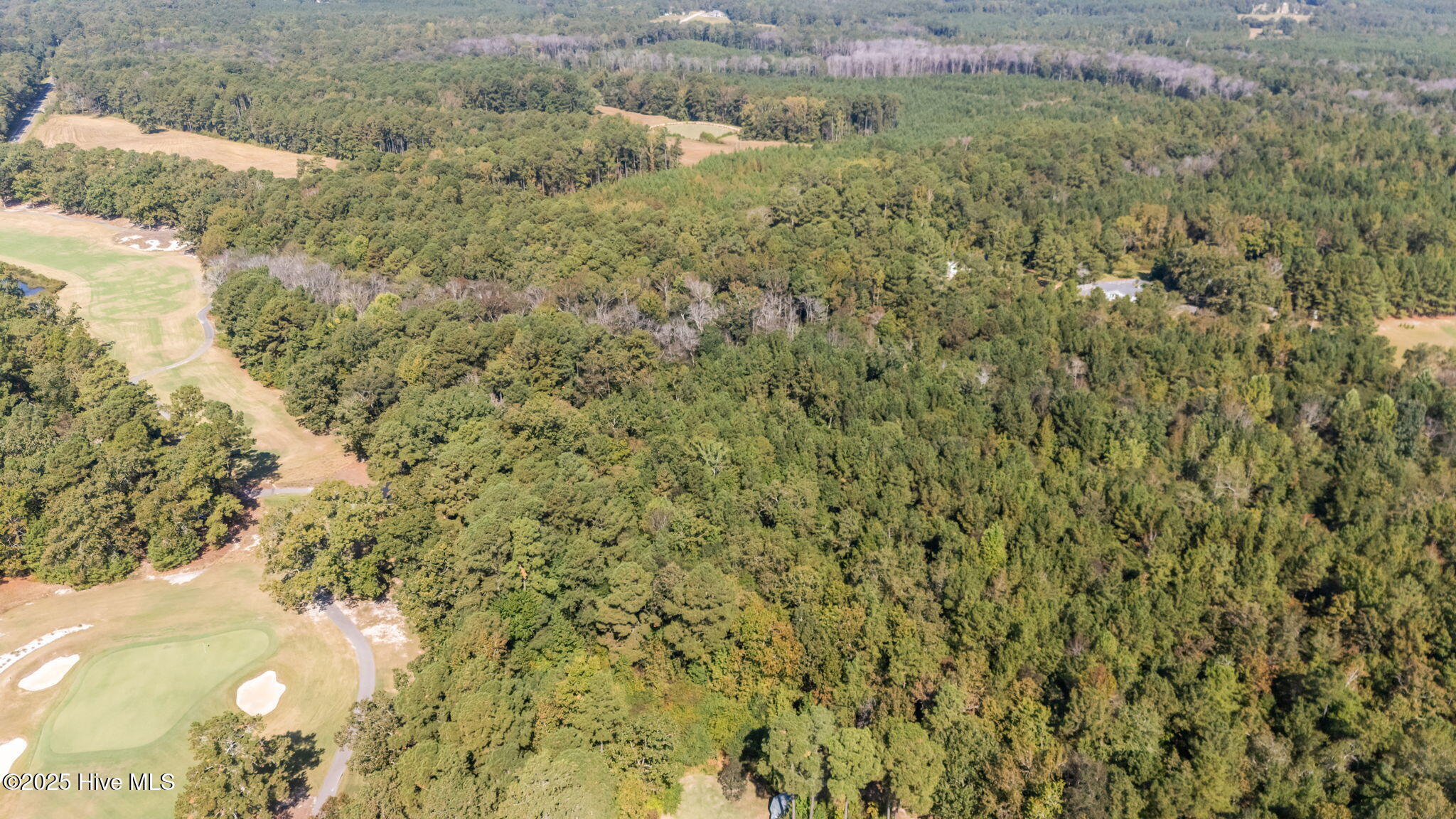 1425 Cypress Church Road