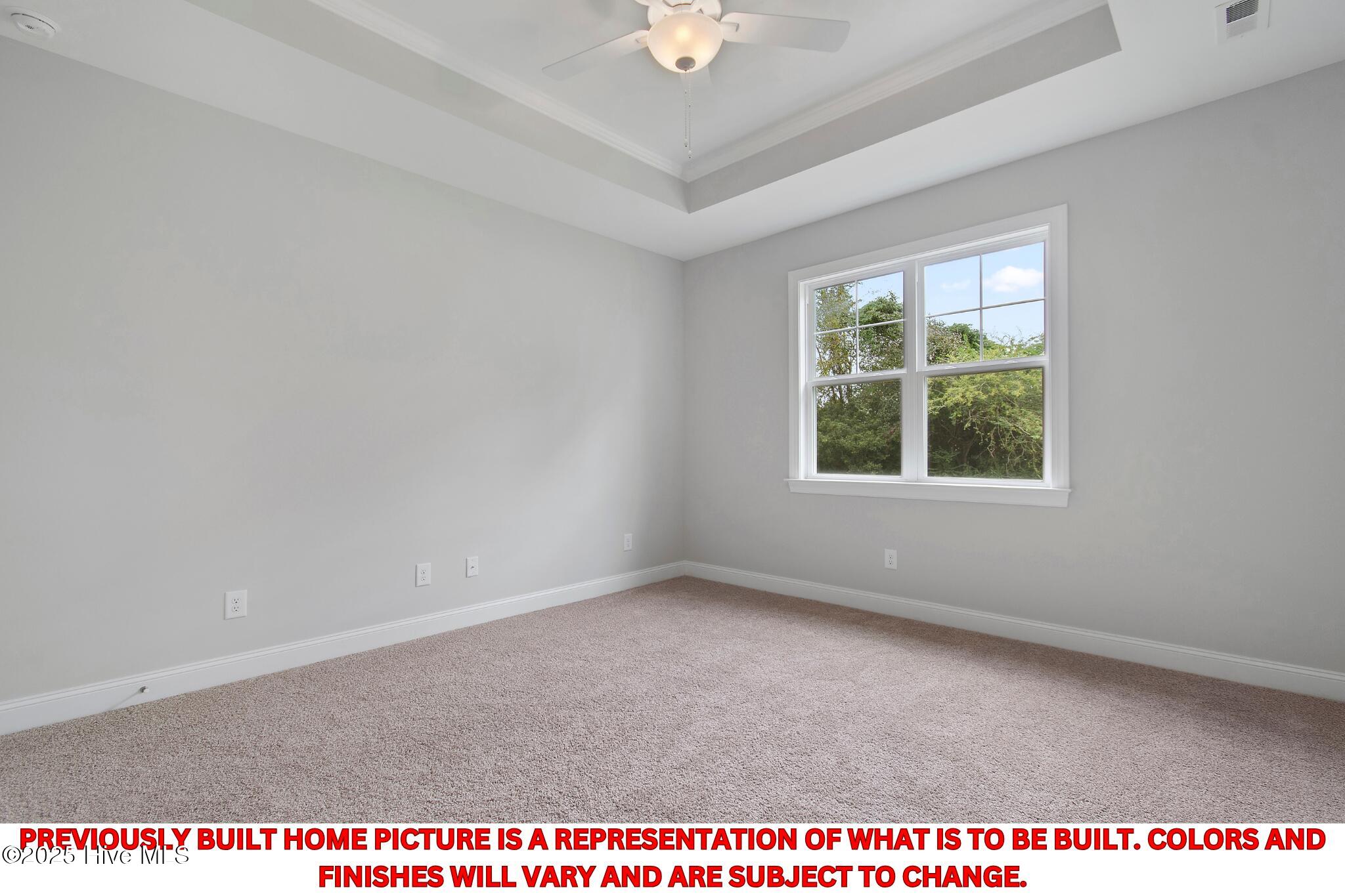 100524541 | Photo 24