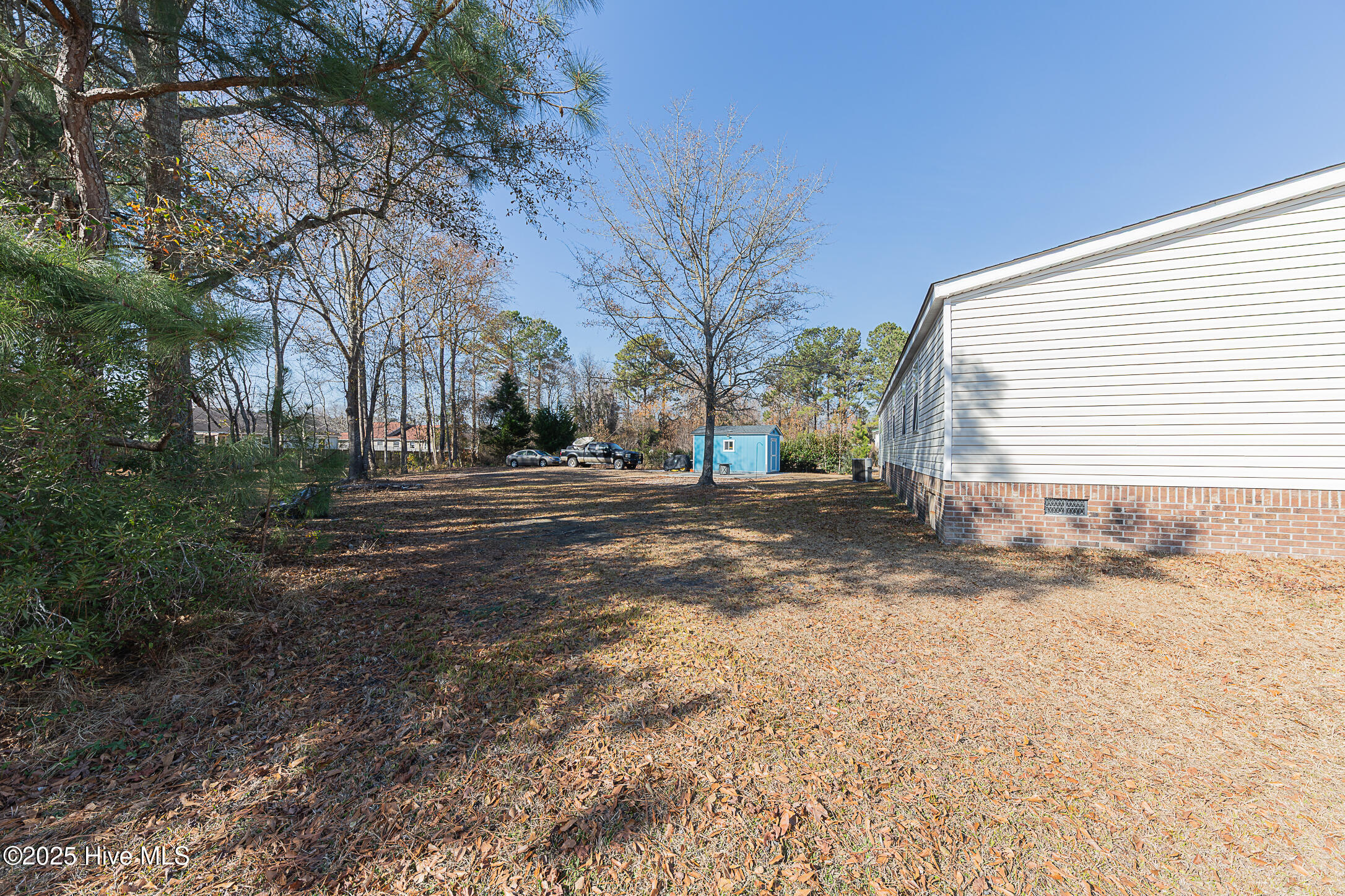 100546784 | Photo 44