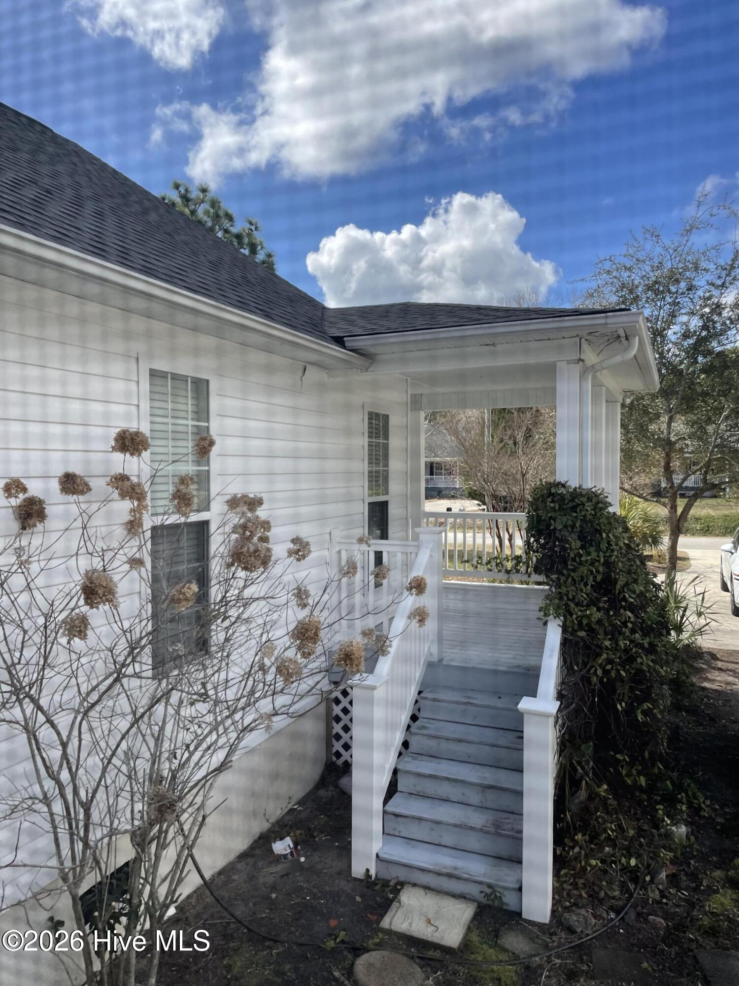 100558883 | Photo 13