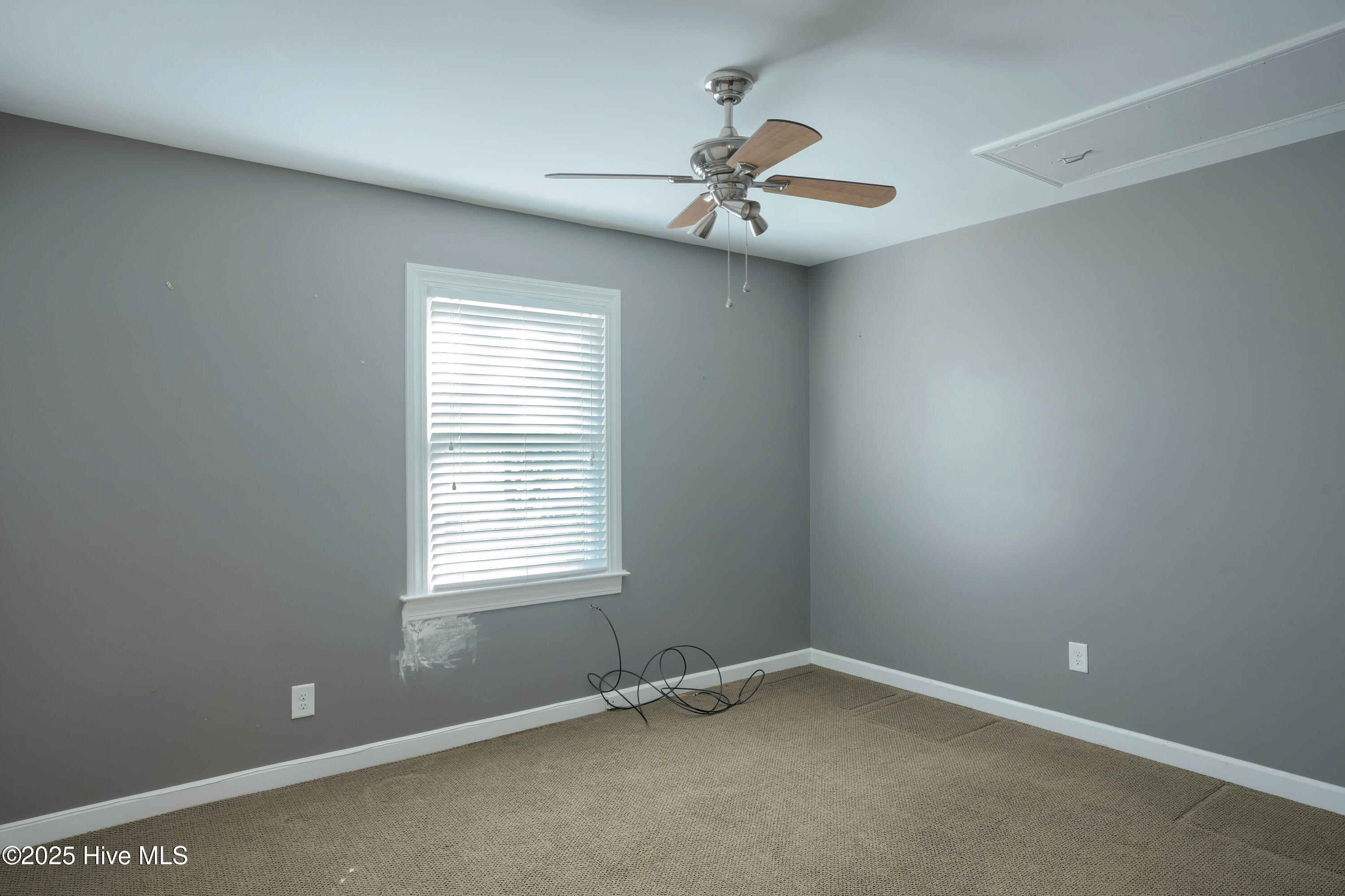 100554842 | Photo 25