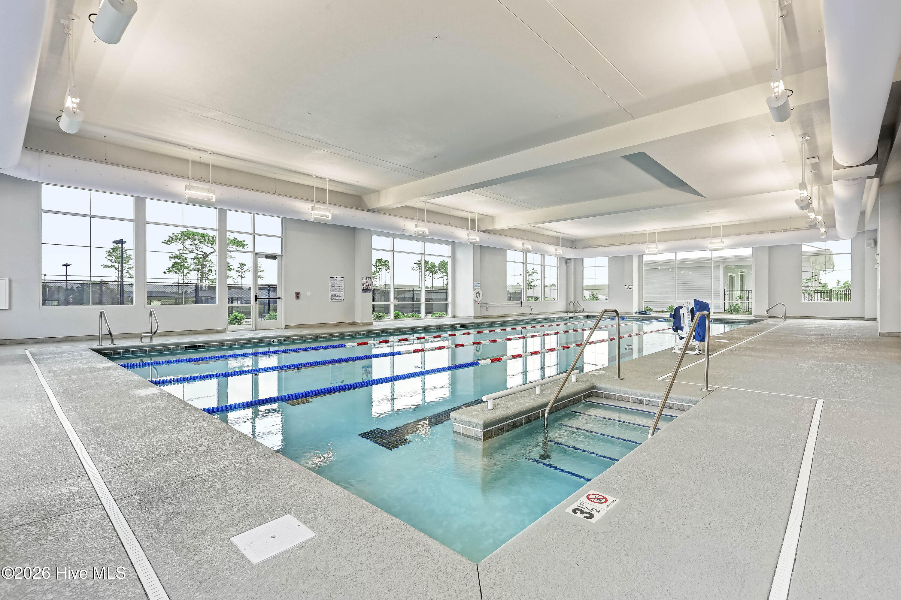 100558115 | Photo 42