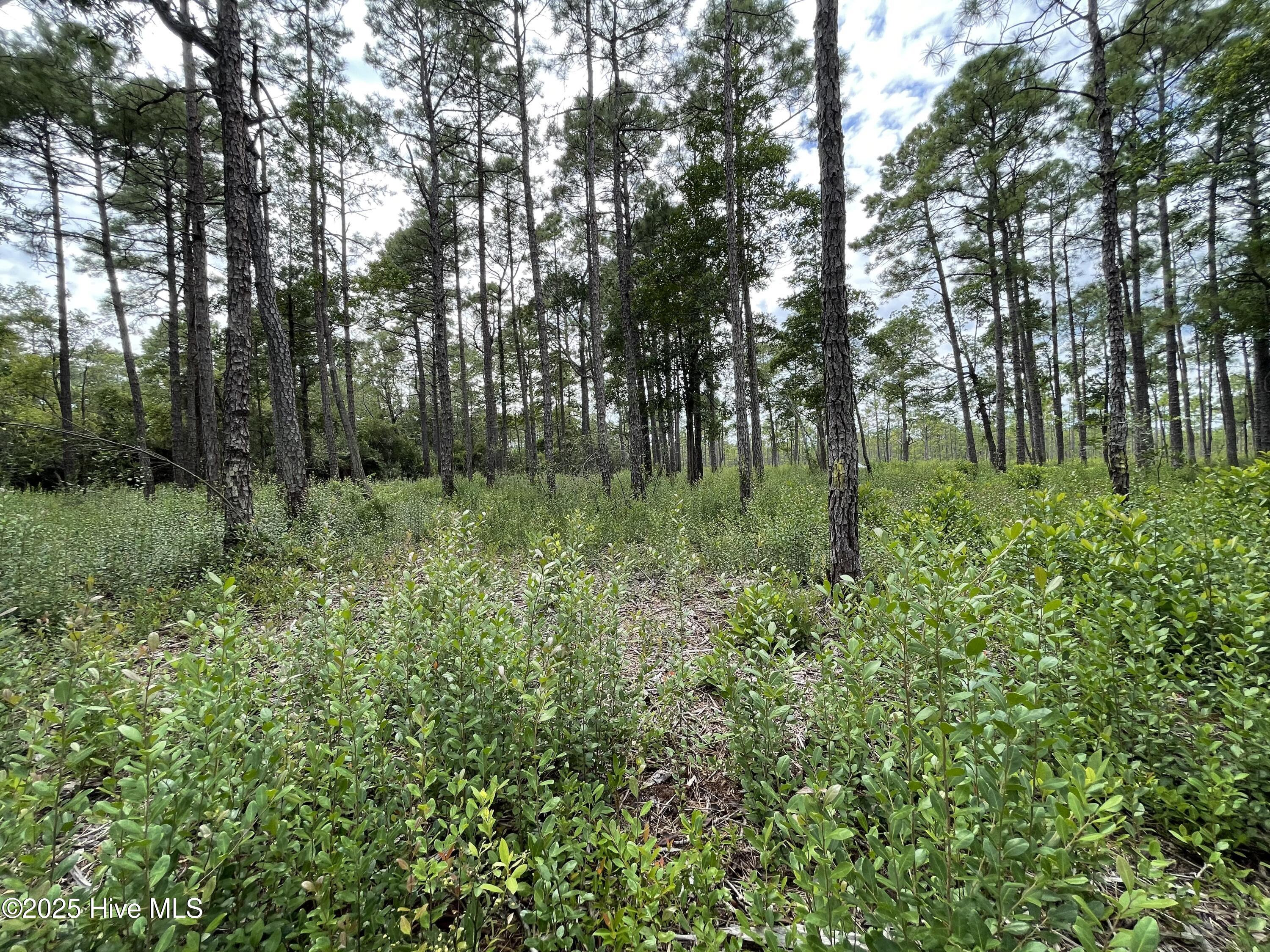 100527891 | Photo 19