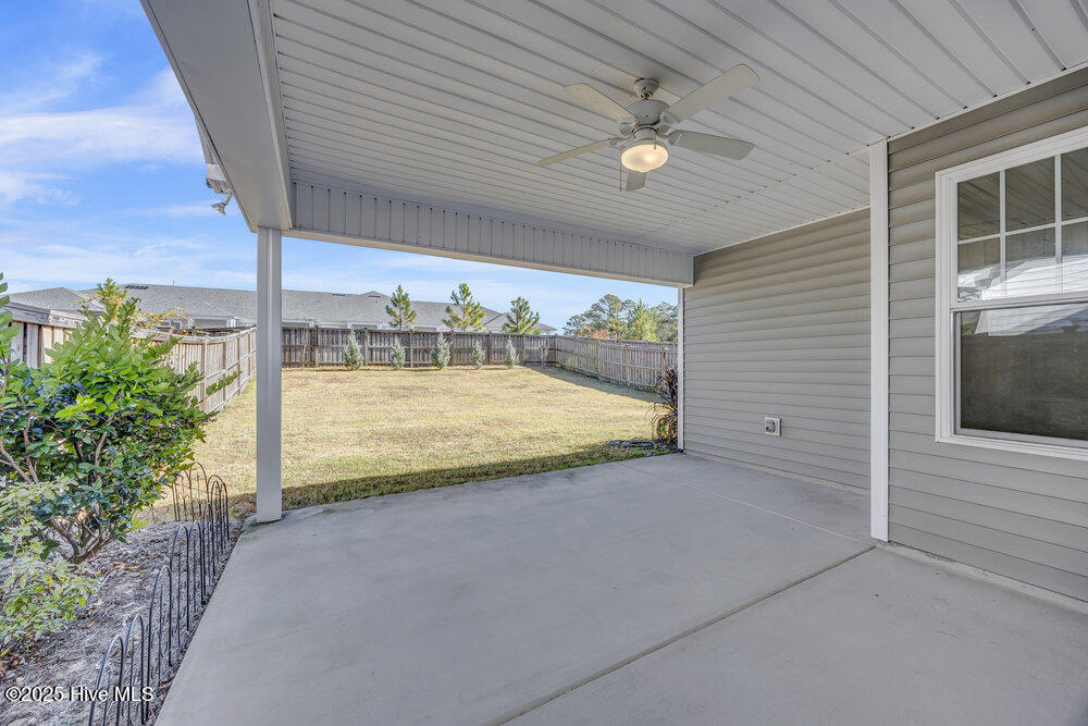 100542116 | Photo 28