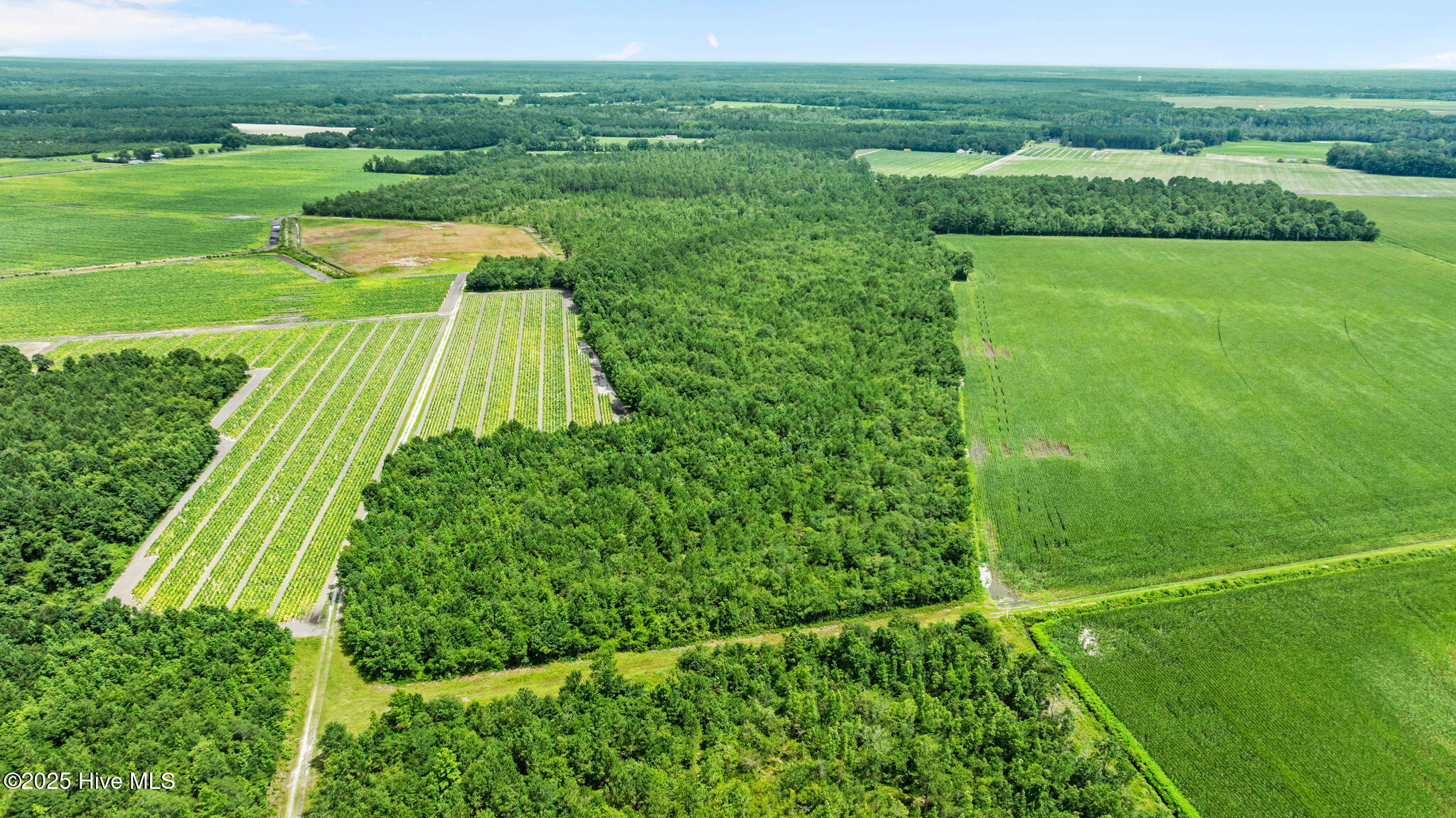 0 Green Sea Road, Garland, NC, 28441