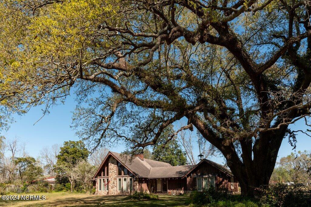 100516125 | Photo 13