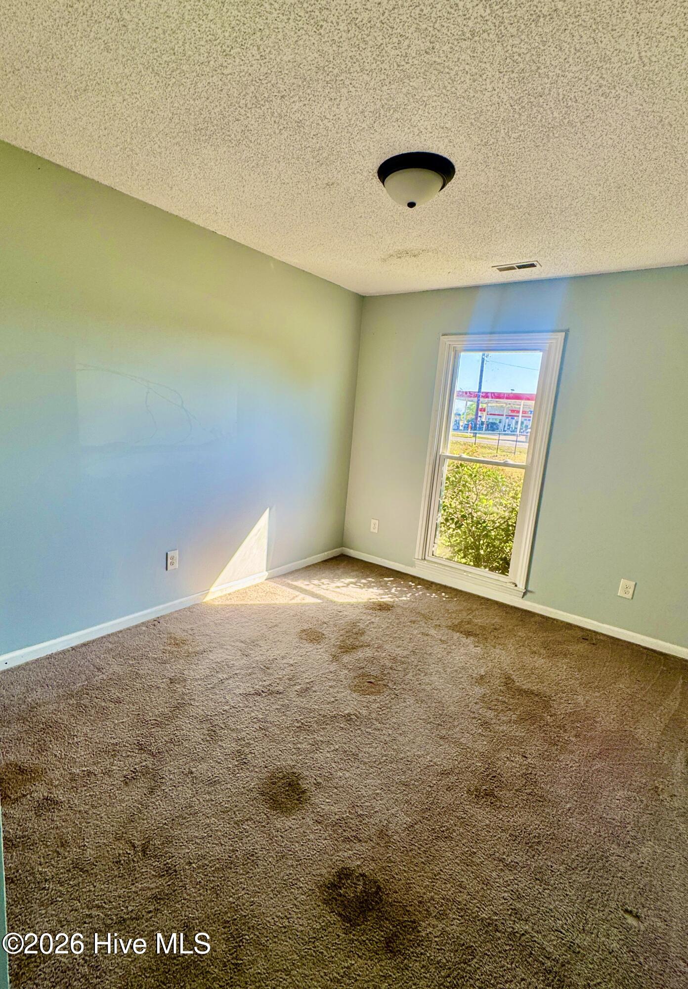 100567405 | Photo 10